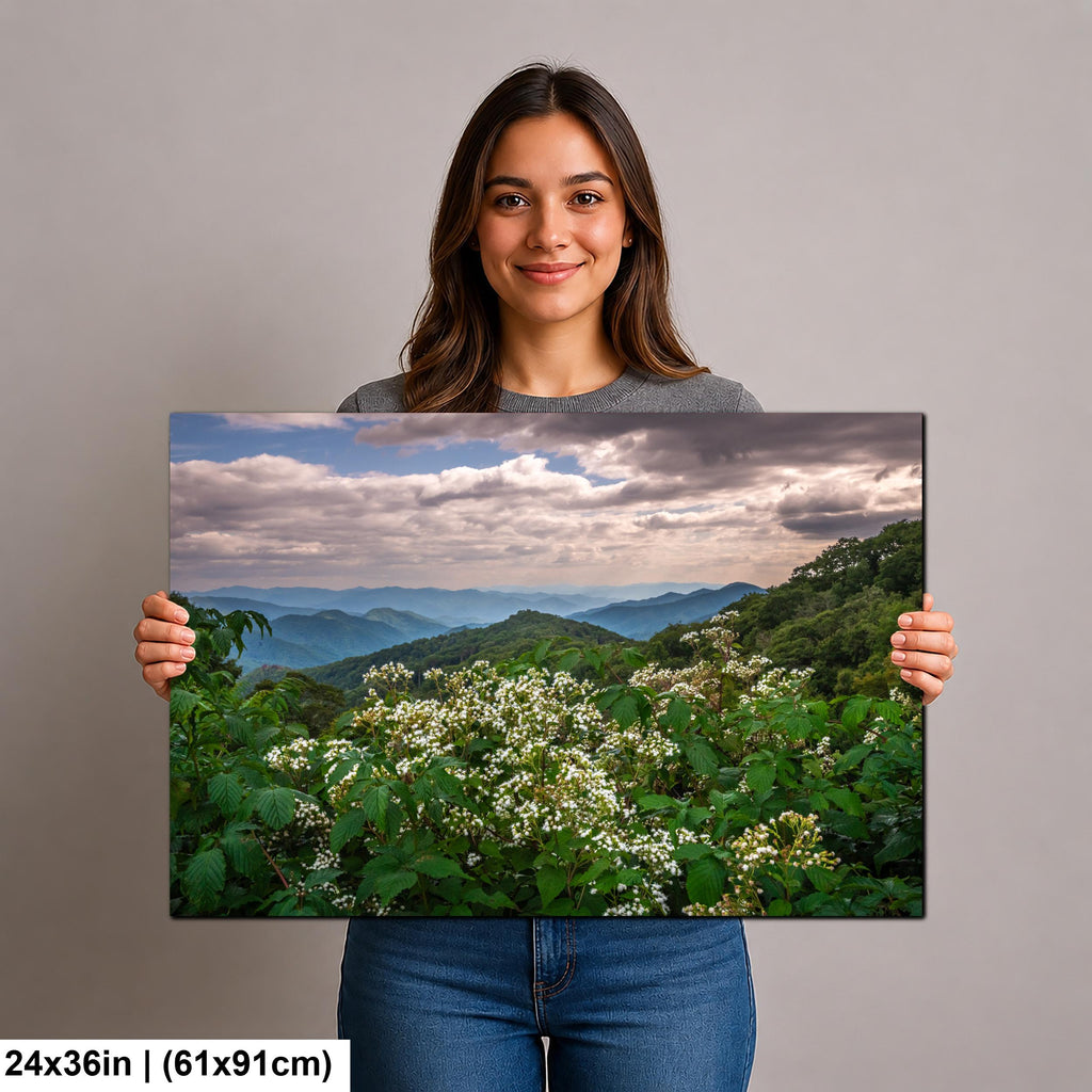 Mountain Meadow: Wildflowers Great Smoky Mountains Tennessee Photo Wall Art