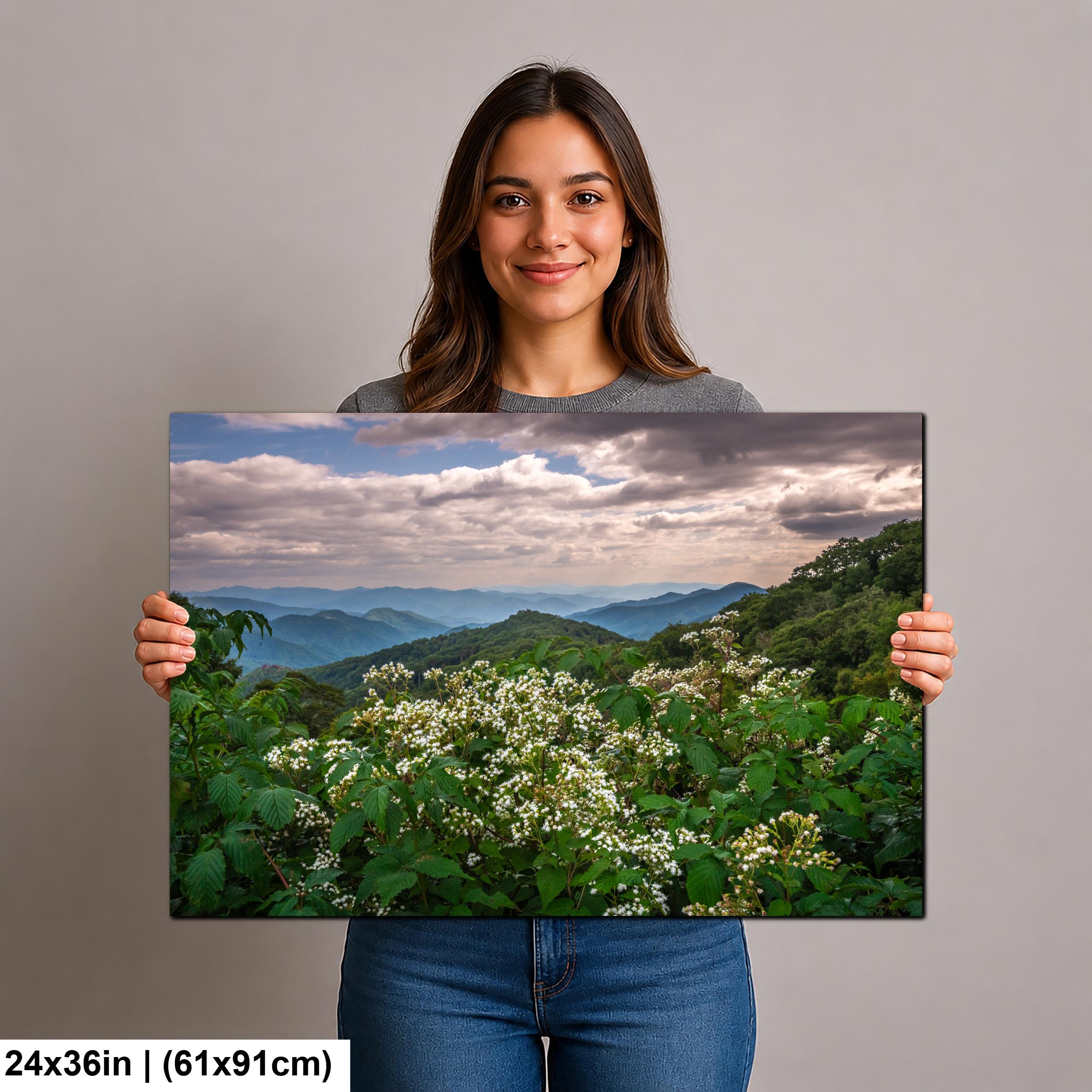 Mountain Meadow: Wildflowers Great Smoky Mountains Tennessee Photo Wall Art