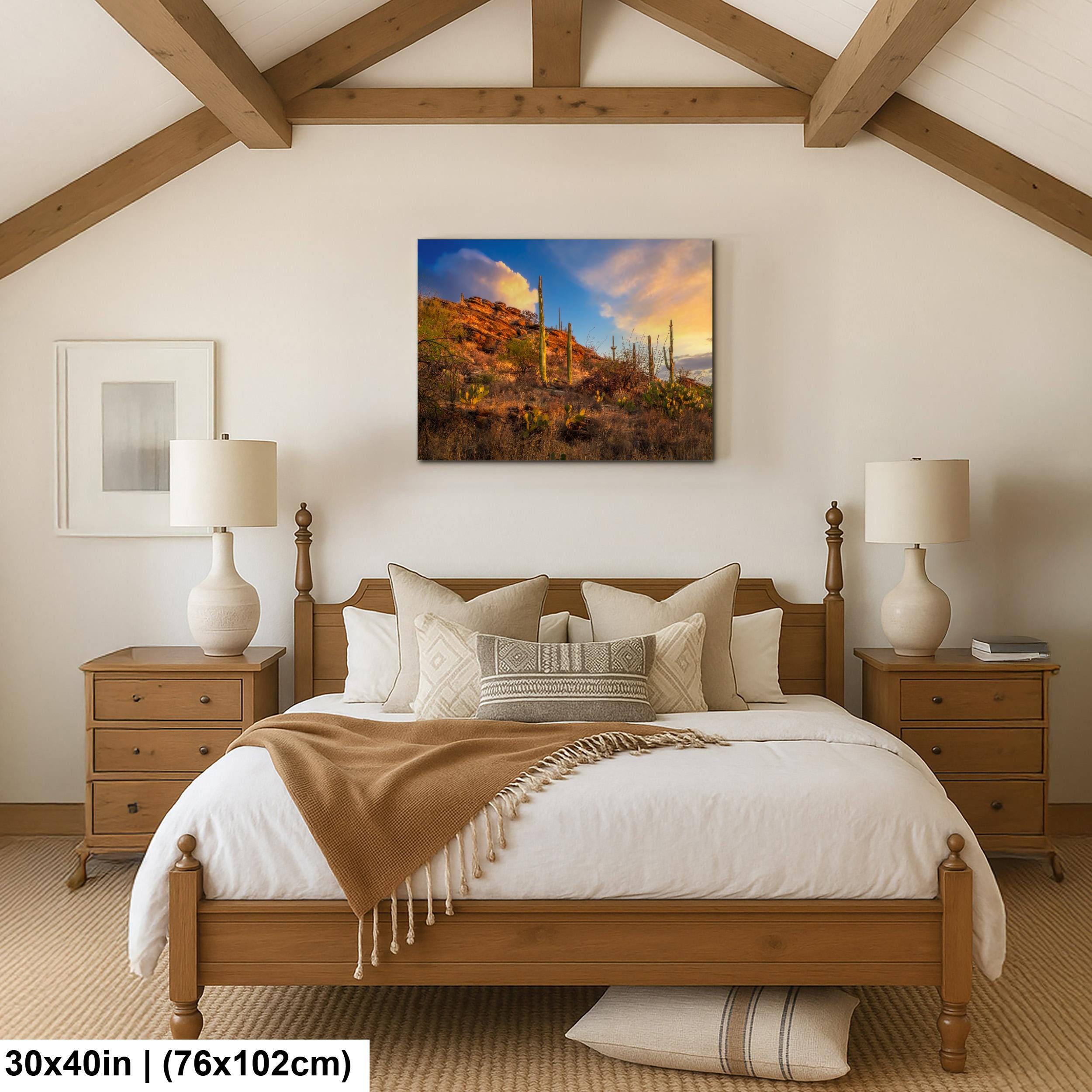 Sonoran Desert Sunset on Rocky Hillside - Saguaro National Park East Tucson Photography Print