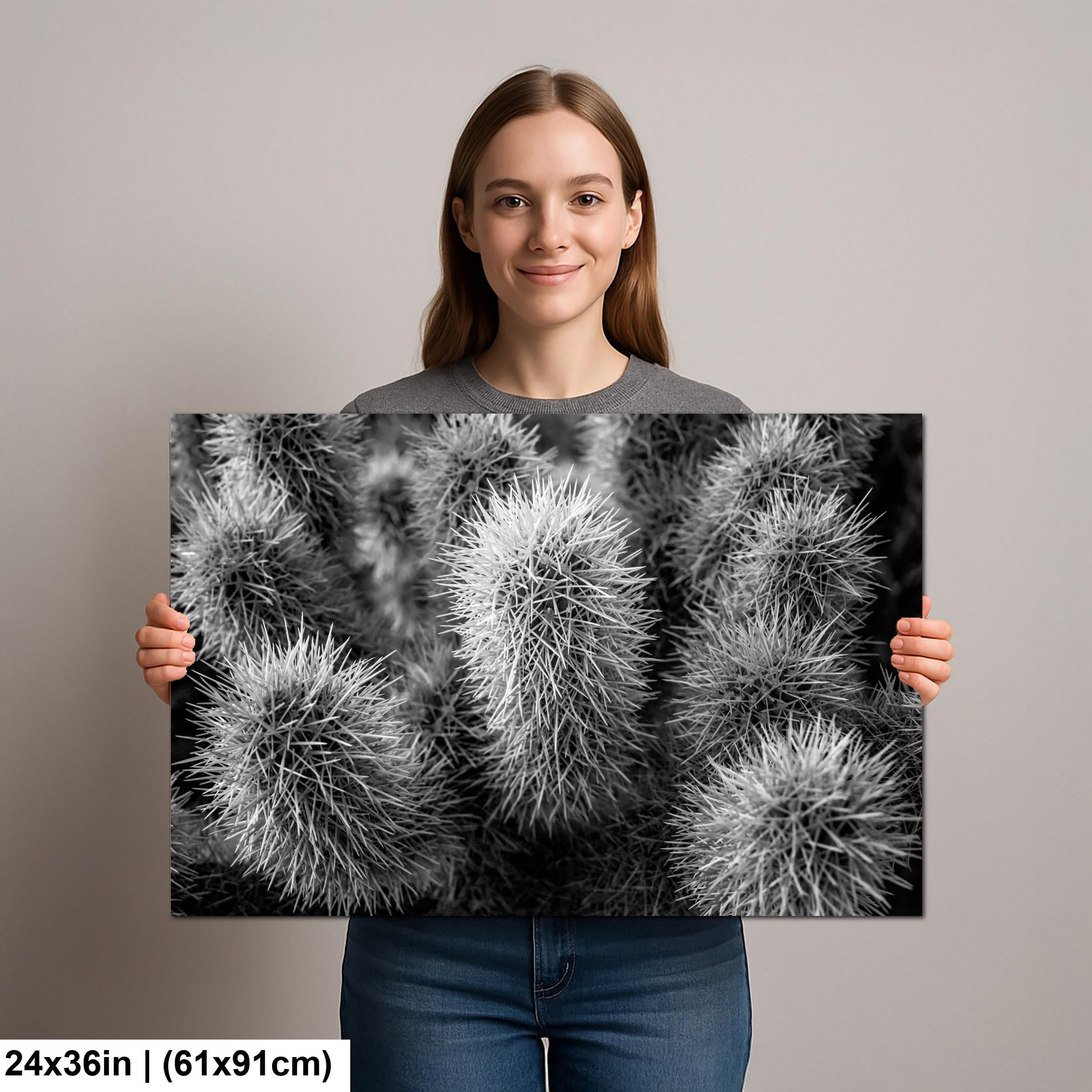 Cholla Cactus Spines Black and White - Saguaro National Park East Tucson Photography Print