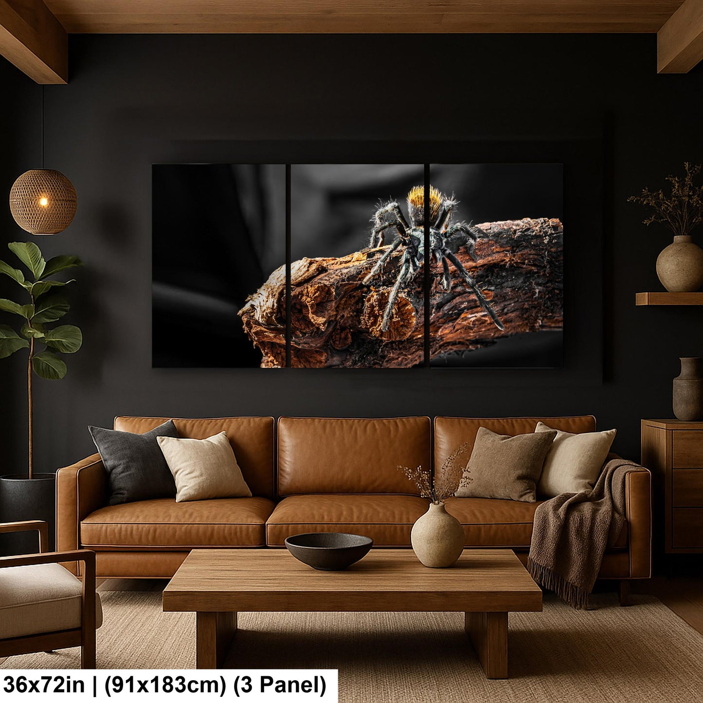 Arizona Blonde Tarantula on Desert Wood Southwest Wildlife Photography Print