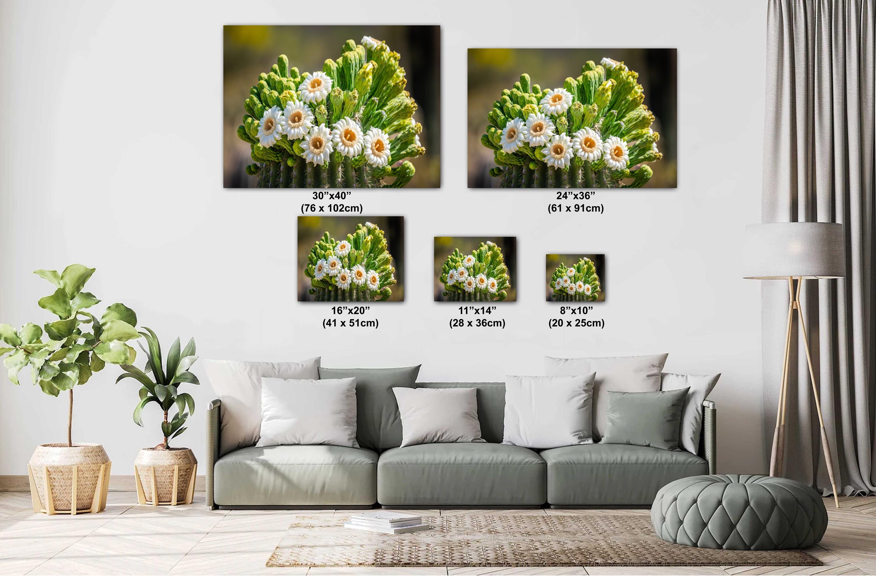Arizona Saguaro Cactus Flower: Sonoran Desert Nature Photography Wall Art