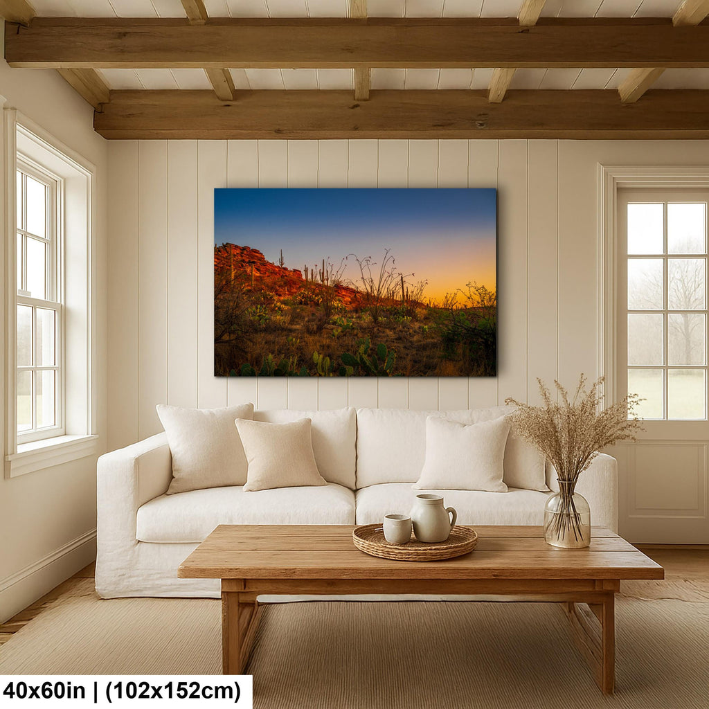 Sonoran Desert Sunset with Saguaros and Ocotillo - Saguaro National Park East Tucson Photography Print