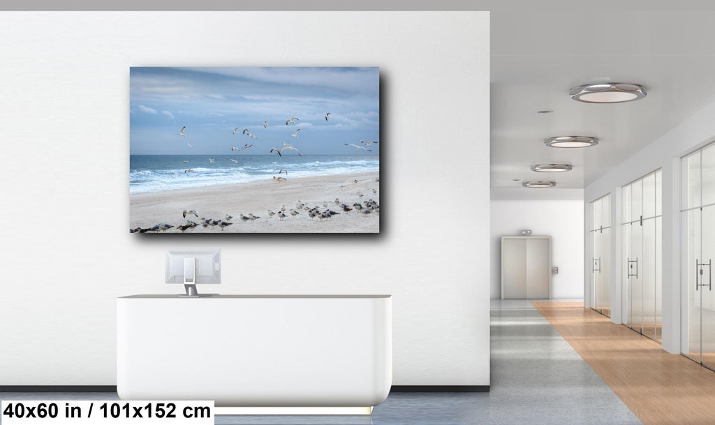 Seagulls Over Quiet Amelia Island Coastal Beach Florida Print Wall Art Photography Aluminum/Acrylic/Metal/Canvas Seascape Wildlife Decor