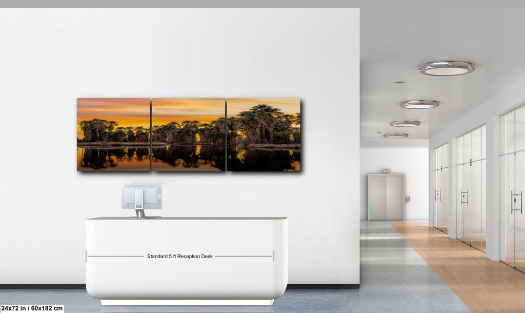 Agua Caliente Palm Grove Sunset Reflection - Tucson Arizona Photography Print