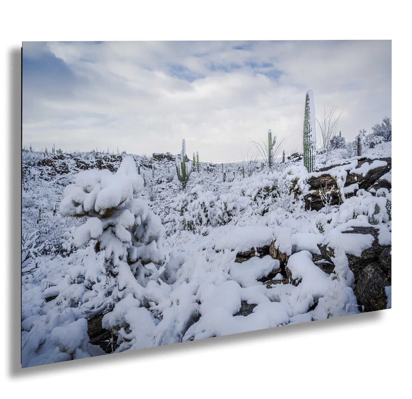 Saguaro Cactus Wall Art – Snowy Desert Photography | Winter Cactus Print Decor
