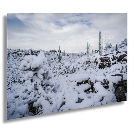 Saguaro Cactus Wall Art – Snowy Desert Photography | Winter Cactus Print Decor