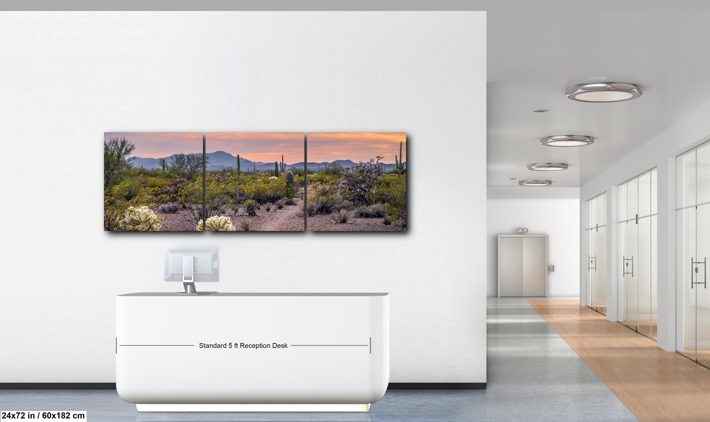 Spring Wildflowers and Saguaros at Sunset, Tucson Arizona Sonoran Desert Photography Print