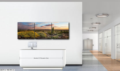 Arizona Sunset Overlook with Saguaros and Wildflowers - Casa Grande Sonoran Desert Photography Print