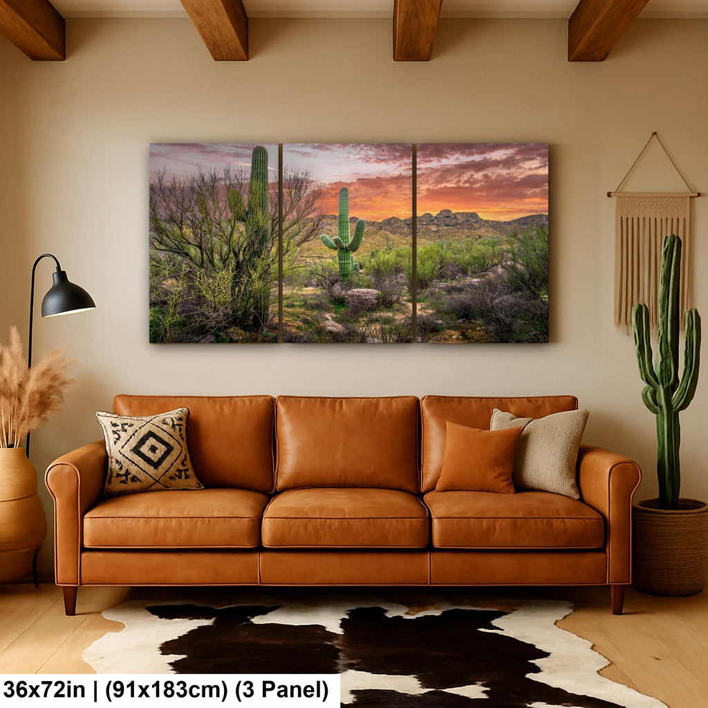 Sonoran Desert Sunset with Saguaros - Catalina State Park Tucson Arizona Photography Print