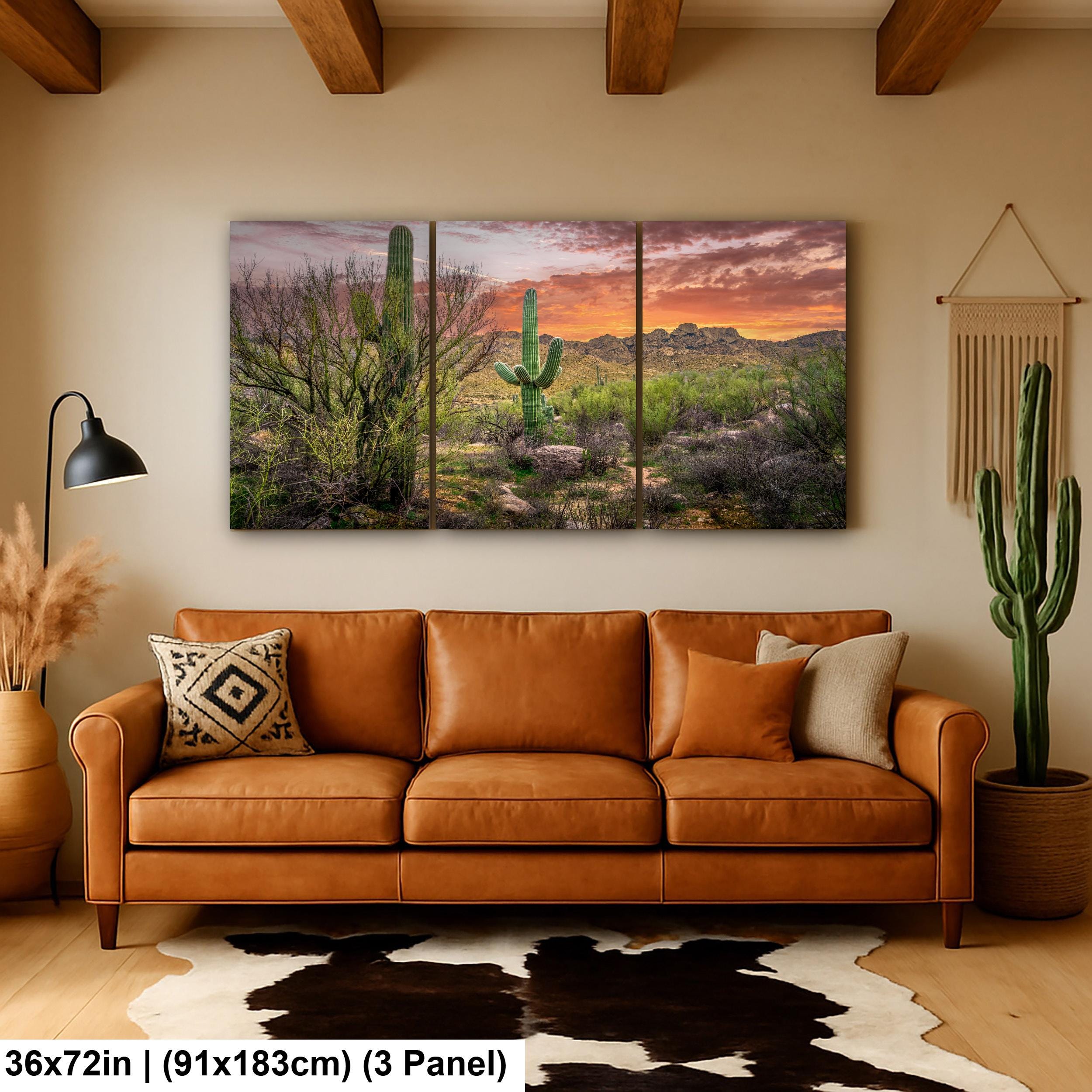 Sonoran Desert Sunset with Saguaros - Catalina State Park Tucson Arizona Photography Print