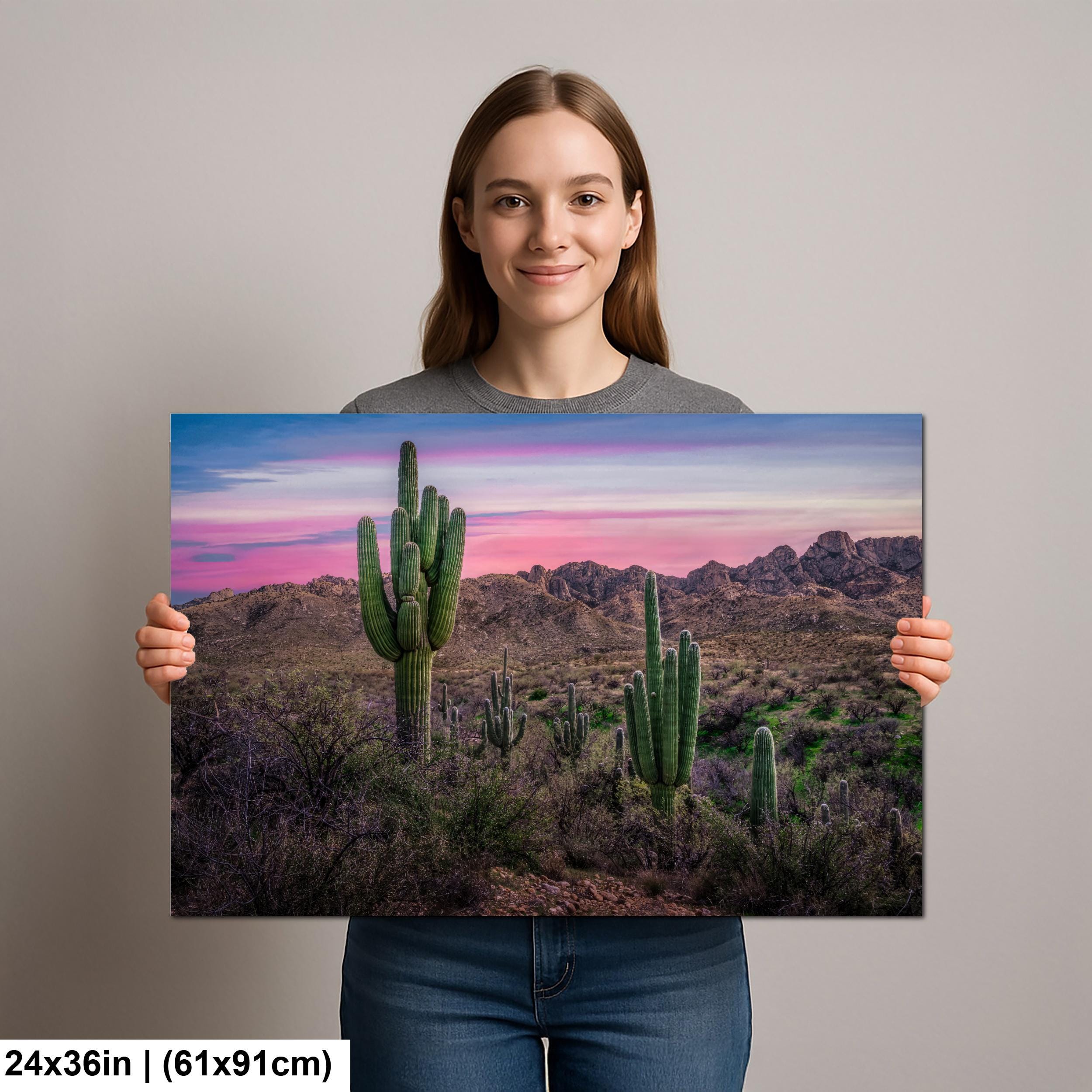Sonoran Desert Sunset with Saguaros - Catalina State Park Tucson Arizona Photography Print