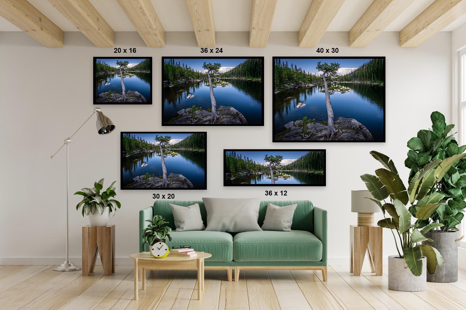 Dream Lake Twisted Tree Print: Rocky Mountain National Park Photography