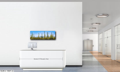 Panoramic Saguaro Desert Landscape, Tucson Arizona Photography Print, Southwest Wall Art, Cactus Decor, Desert Mountain View