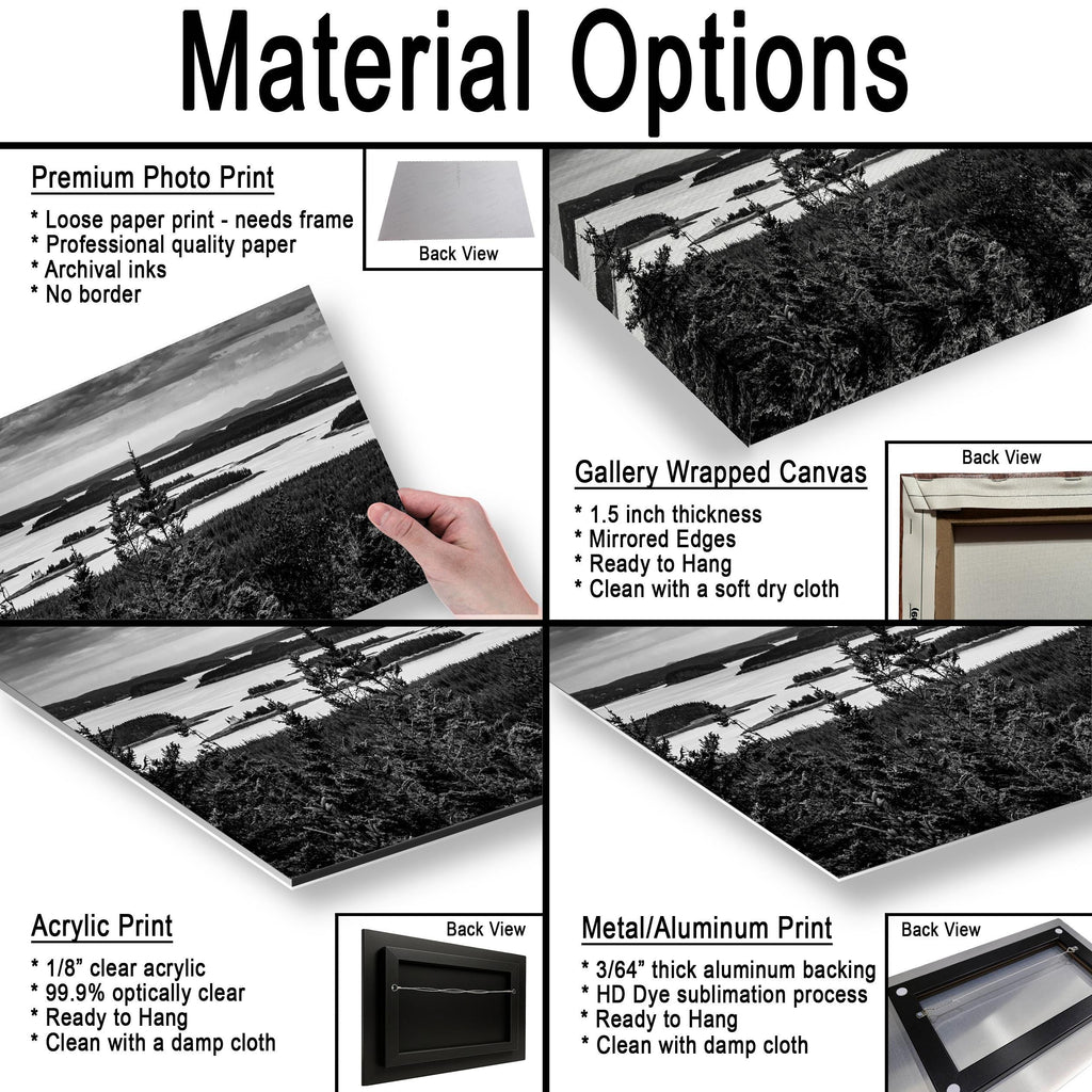 Beyond the Pines: Acadia National Park Maine Islands Black White Wall Art