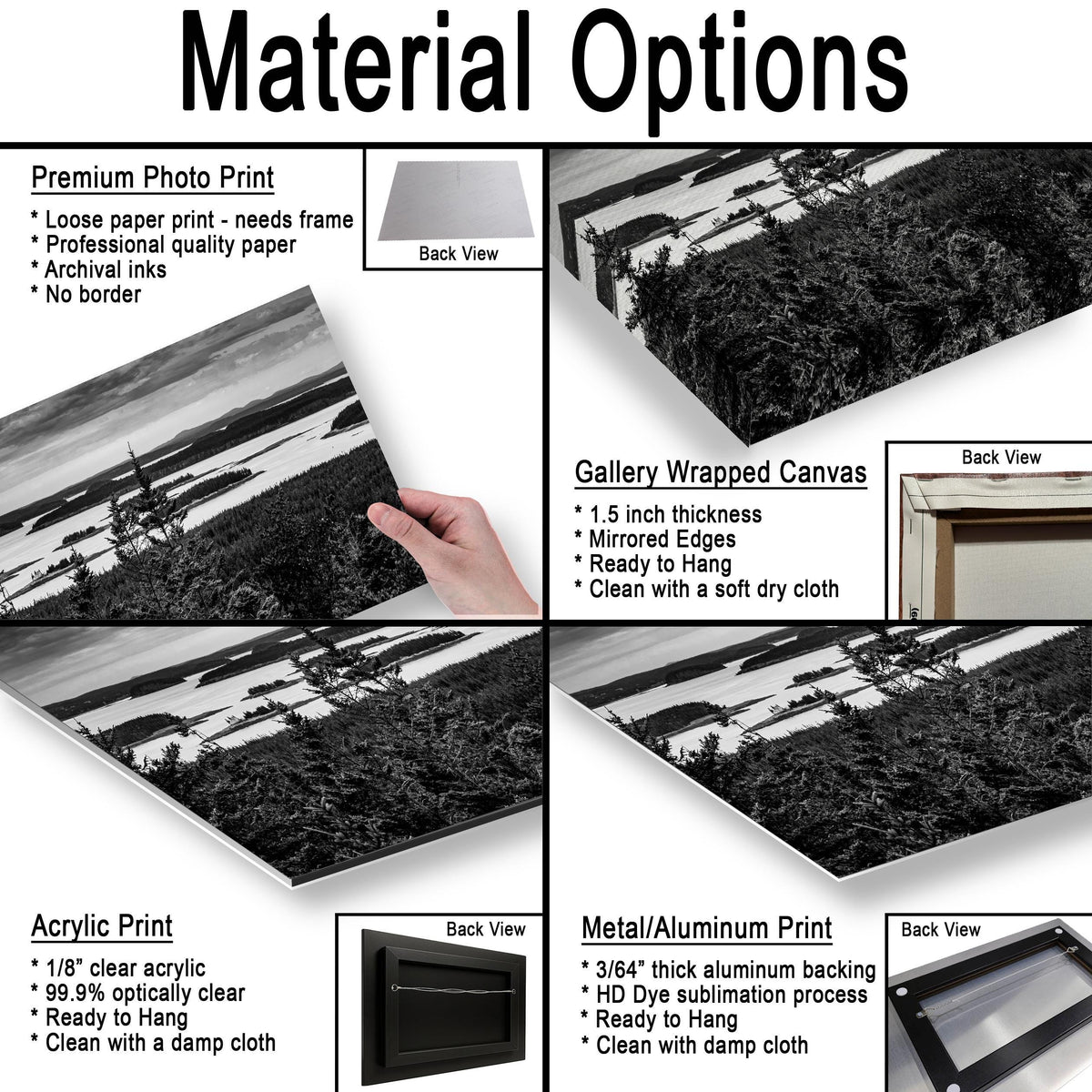 Beyond the Pines: Acadia National Park Maine Islands Black White Wall Art