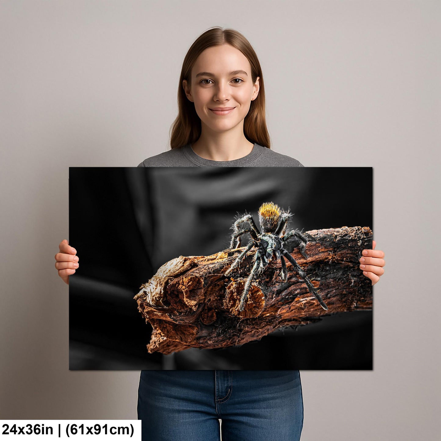 Arizona Blonde Tarantula on Desert Wood Southwest Wildlife Photography Print