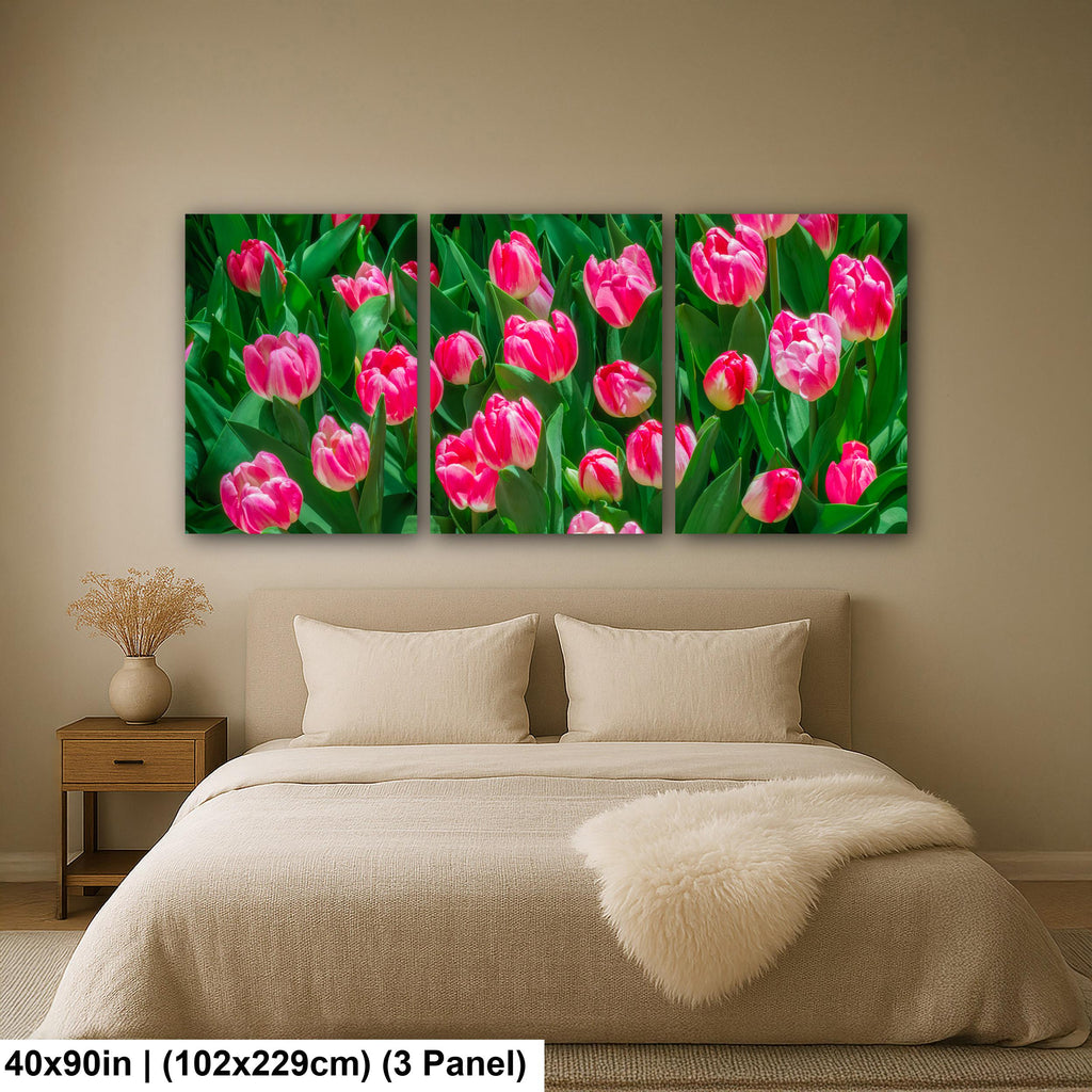 Pink Harmony: Pink Tulips Las Vegas Nevada Flower Photography Wall Art