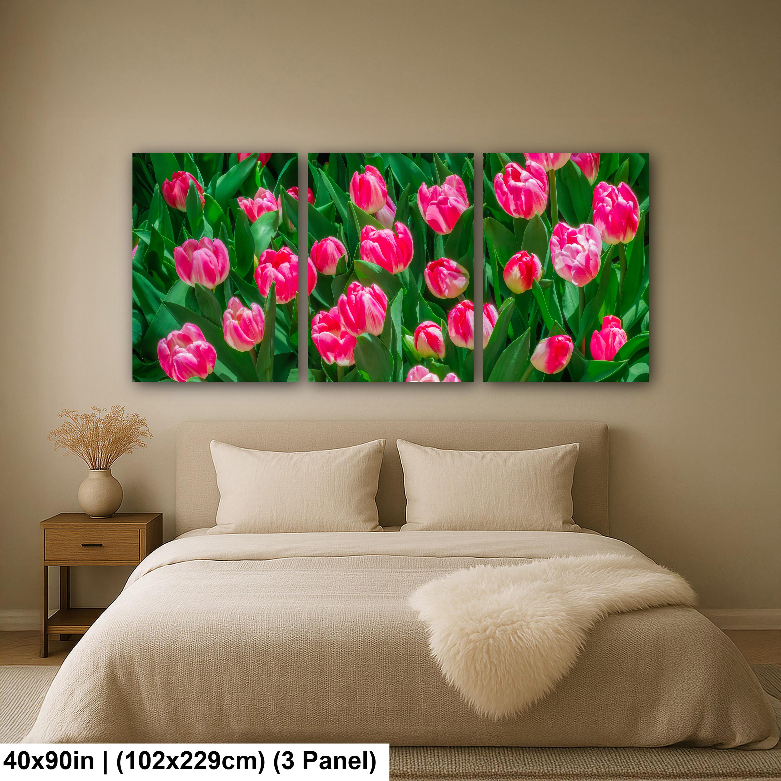 Pink Harmony: Pink Tulips Las Vegas Nevada Flower Photography Wall Art