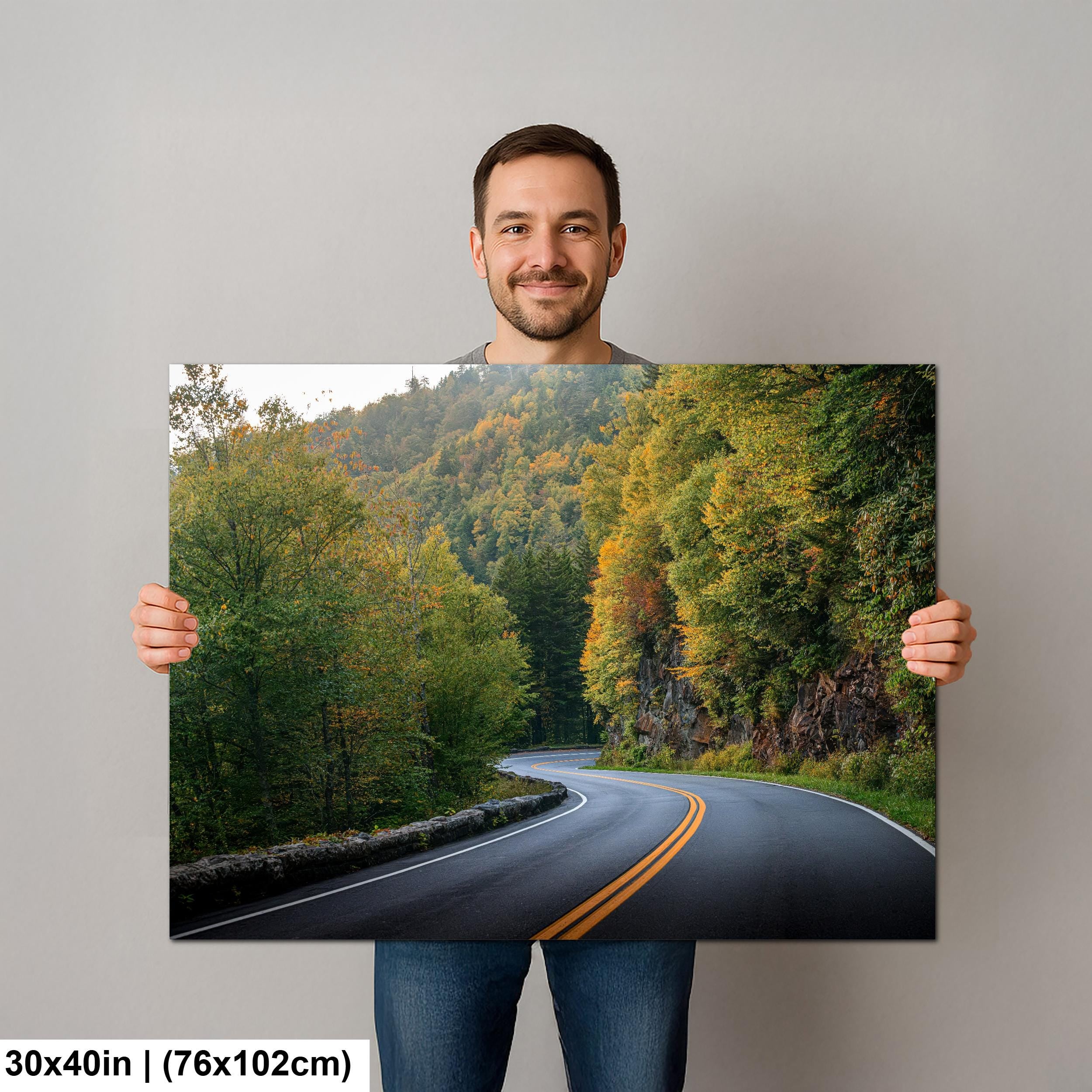 Winding Solace: Curved Road Great Smoky Mountains National Park Wall Art
