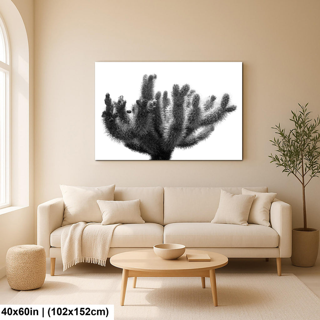 Joshua Tree Cholla Cactus Print: Black and White Desert Photography
