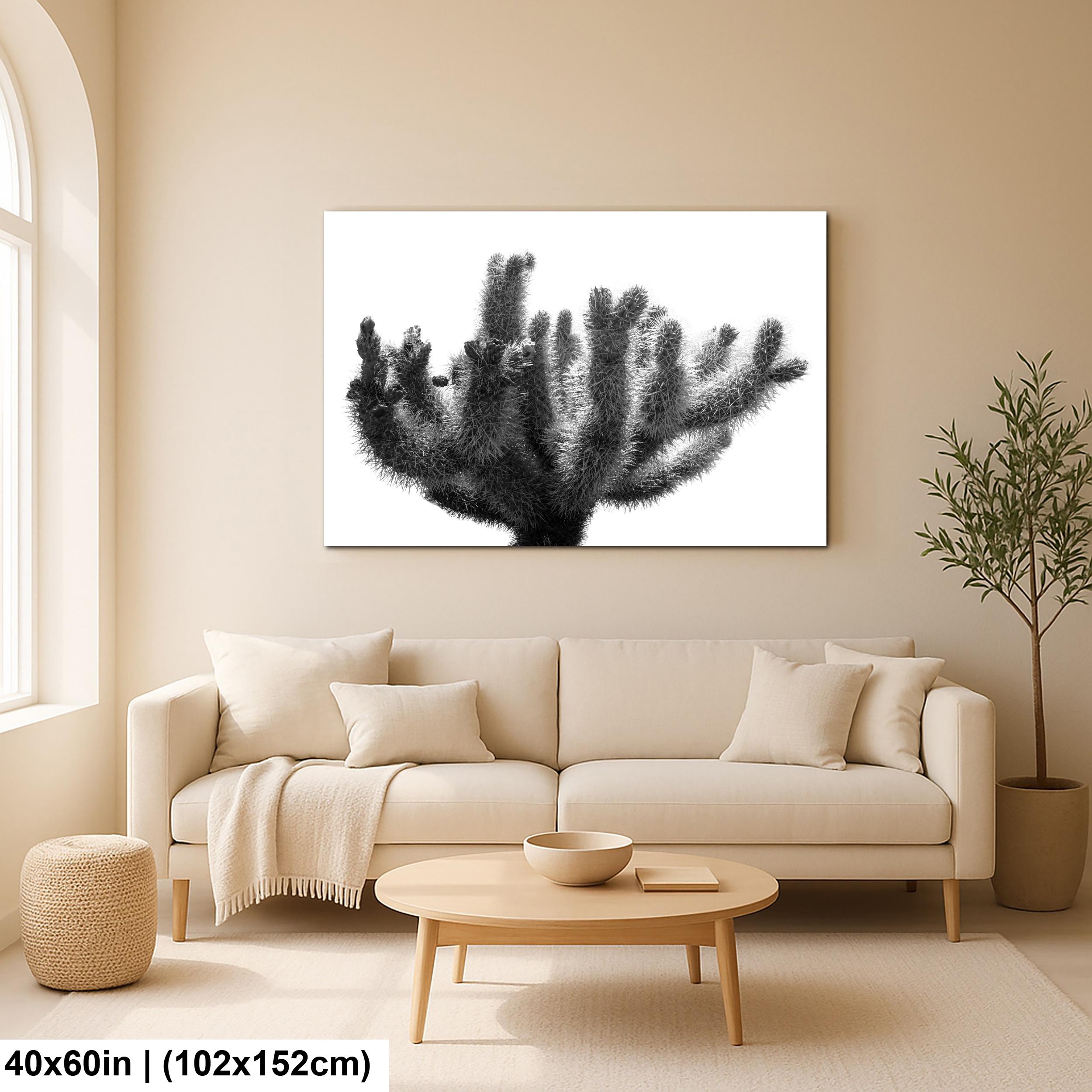 Joshua Tree Cholla Cactus Print: Black and White Desert Photography