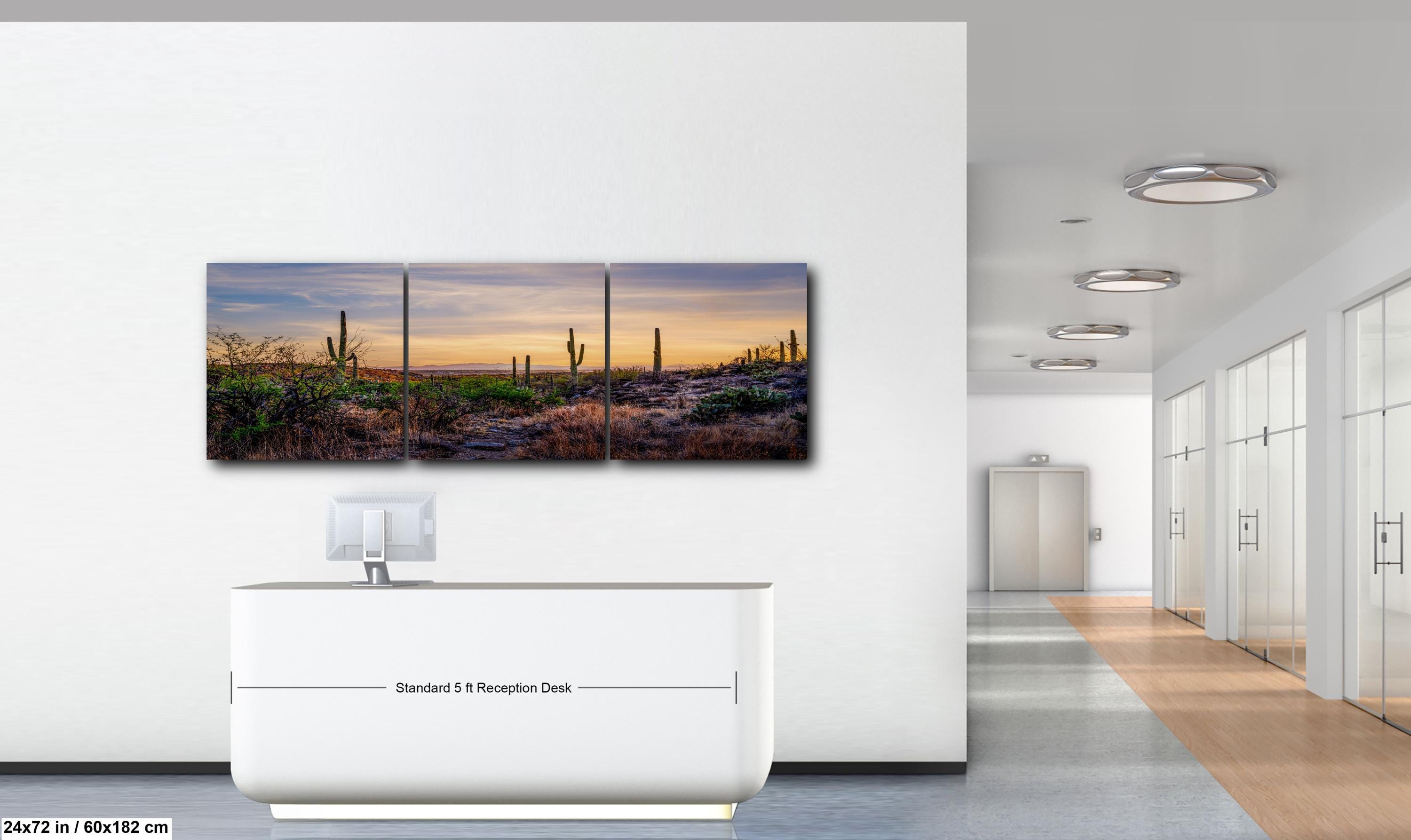 Sonoran Desert Valley Sunset with Saguaros - Saguaro National Park East Tucson Photography Print