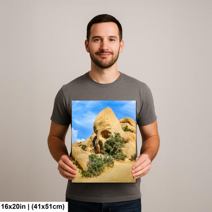 Skull Rock Joshua Tree National Park Photography Print, California Desert Landscape, Unique Rock Formation Wall Art