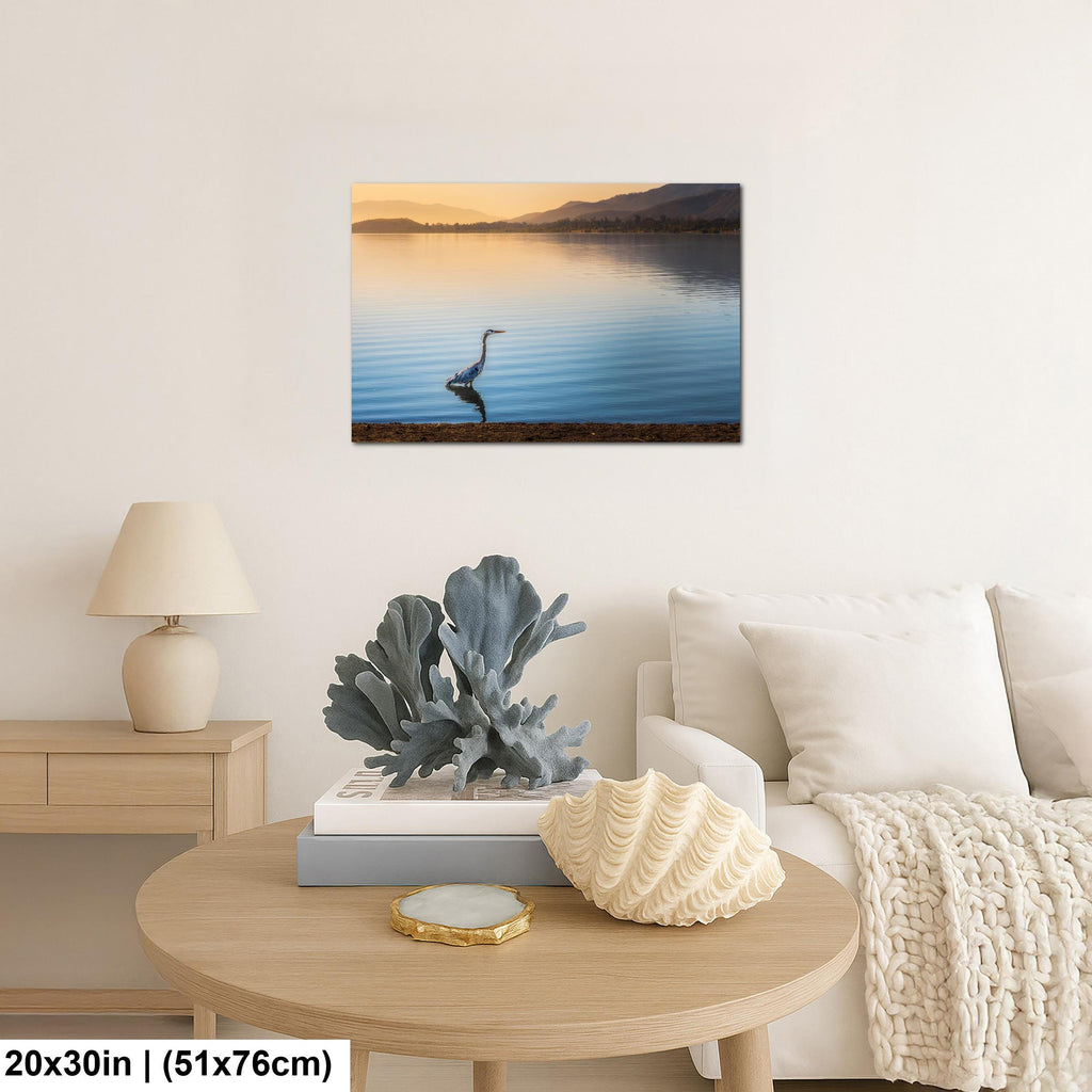 Lakeside Heron: Lake Elsinore California Wildlife Photography Wall Art