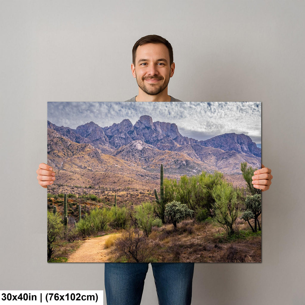 Santa Catalina Majesty, Arizona Mountains Sonoran Desert Photography Wall Art