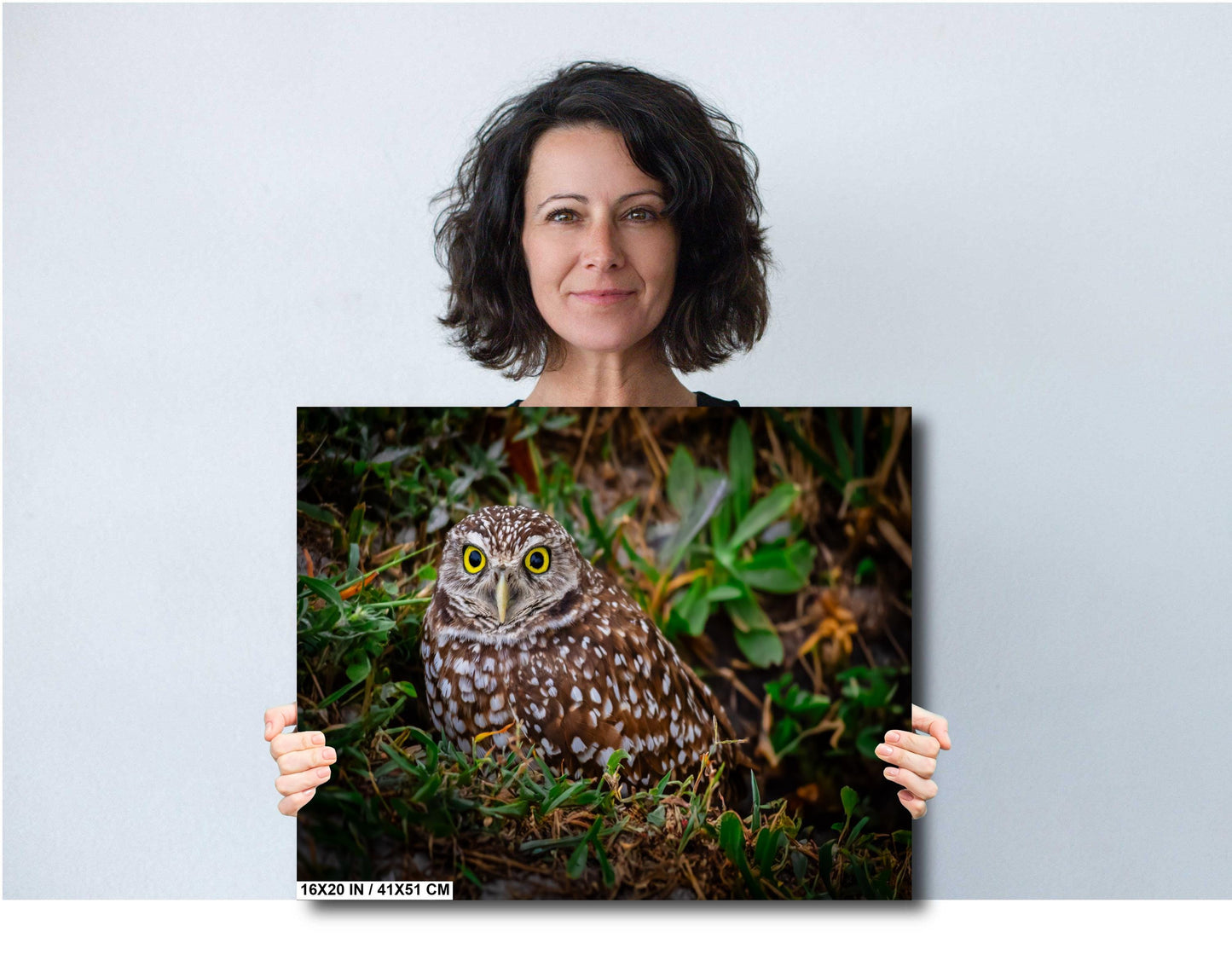 Burrowing Owl with Bright Eyes – The Watchful Guardian of Cape Coral The Americas Print Wall Art Photography Aluminum/Acrylic/Metal/Canvas