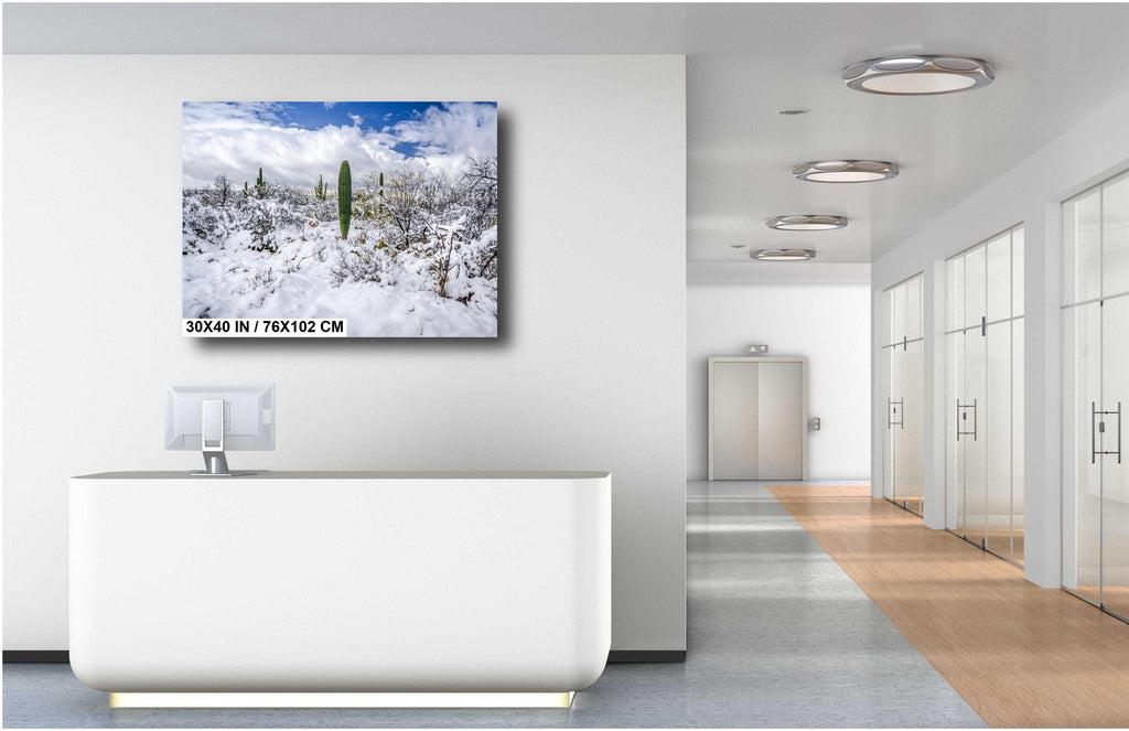 Saguaro National Park Print – Desert Wall Art | Winter Cactus Art in Tucson Arizona