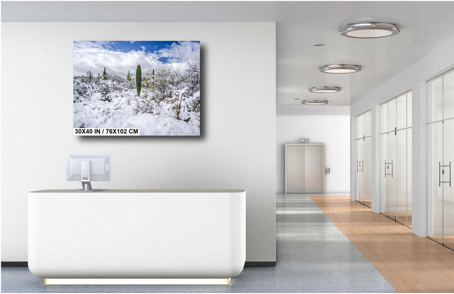 Saguaro National Park Print – Desert Wall Art | Winter Cactus Art in Tucson Arizona
