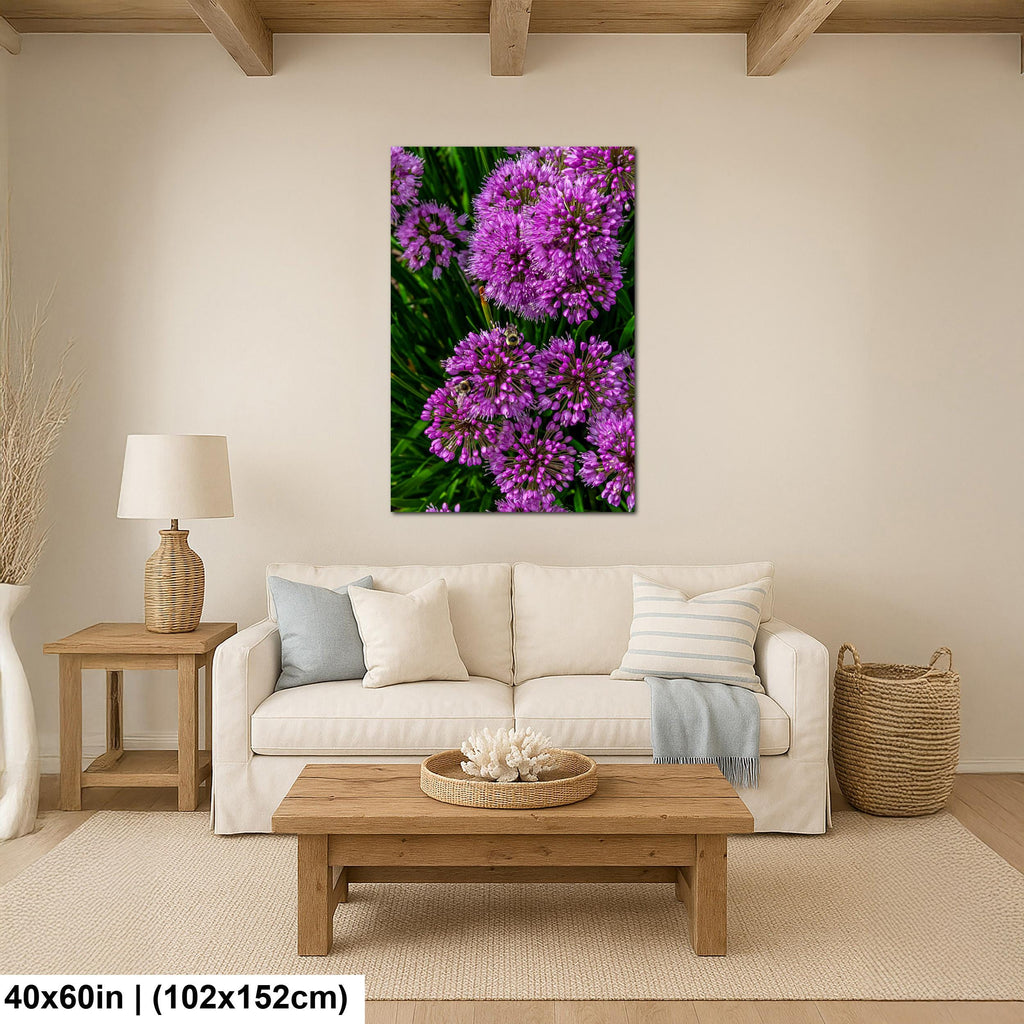 Purple Allium Blooms: Botanical Macro Flower Garden Photography Wall Art