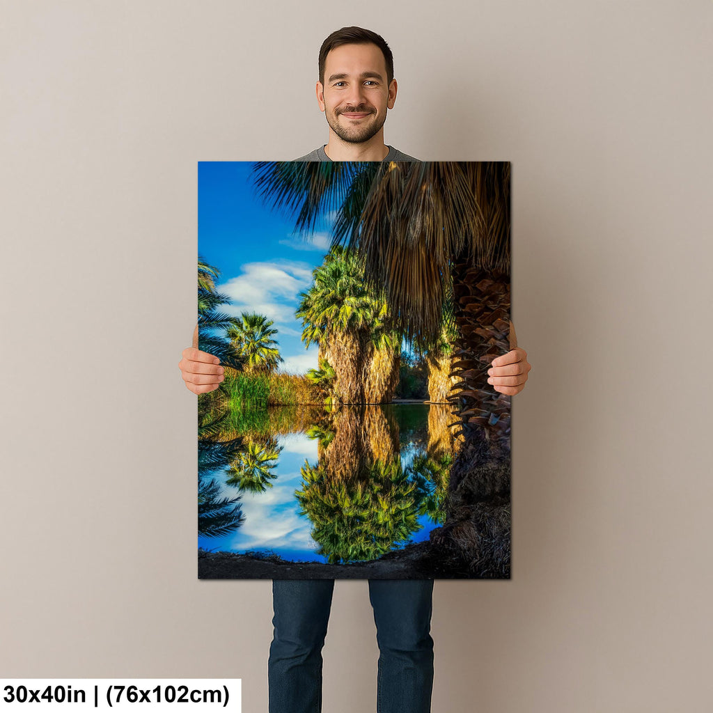 Oasis Reflections at California Hot Springs Palm Desert Photography Print, Desert Landscape Wall Art, Palm Tree Decor