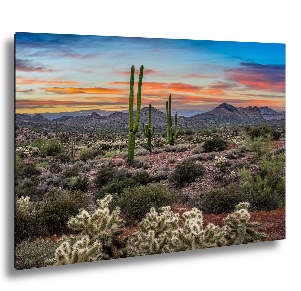 Sonoran Desert Sunset, Lost Dutchman State Park Arizona Southwest Photography Wall Art