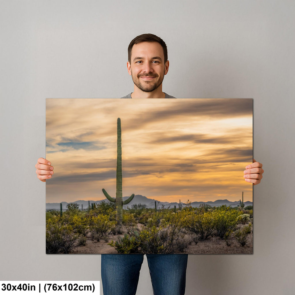 Sonoran Desert Sunset with Saguaro Cactus and Wildflowers Tucson Arizona Photography Print
