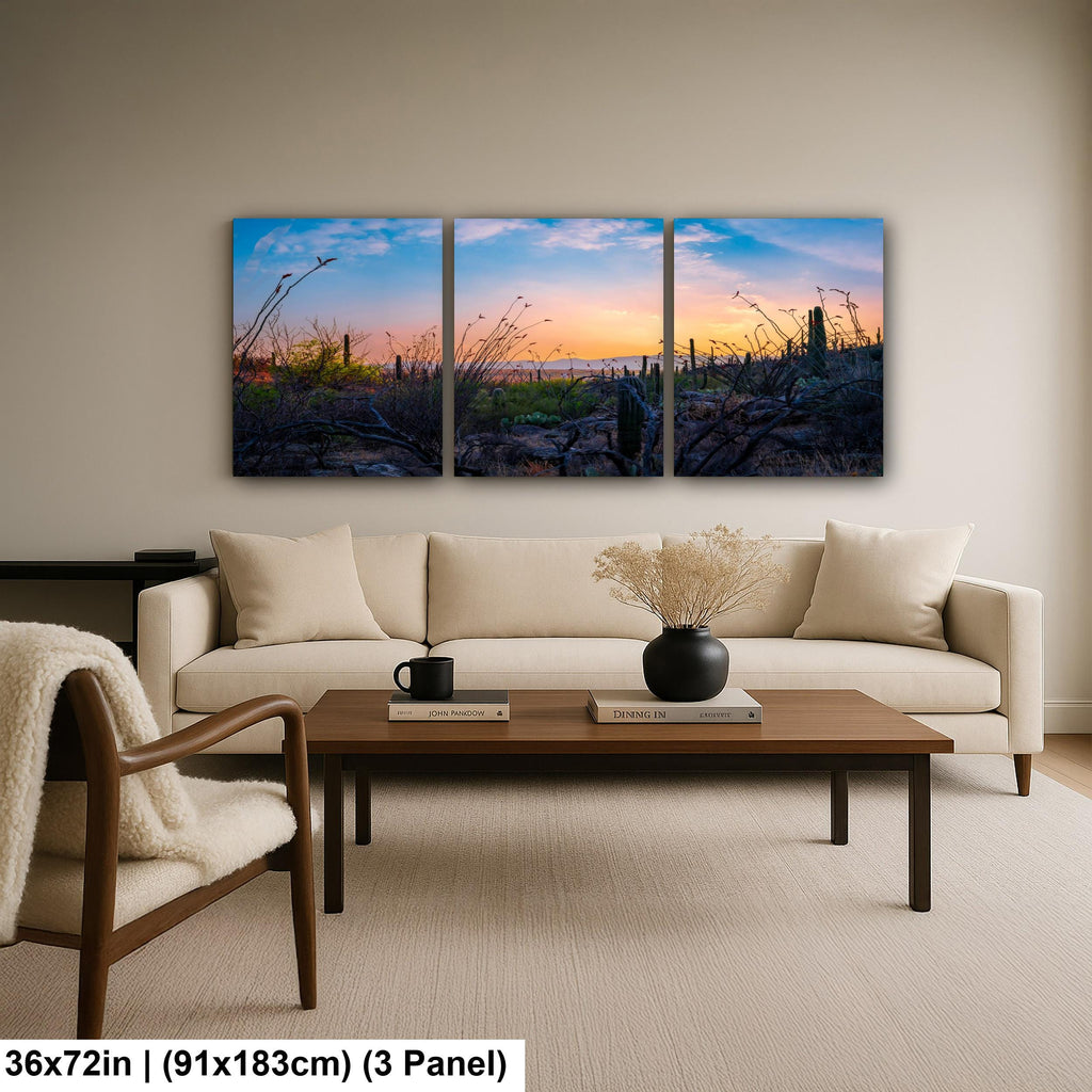 Sonoran Desert Sunset with Saguaros and Ocotillo - Saguaro National Park East Tucson Photography Print