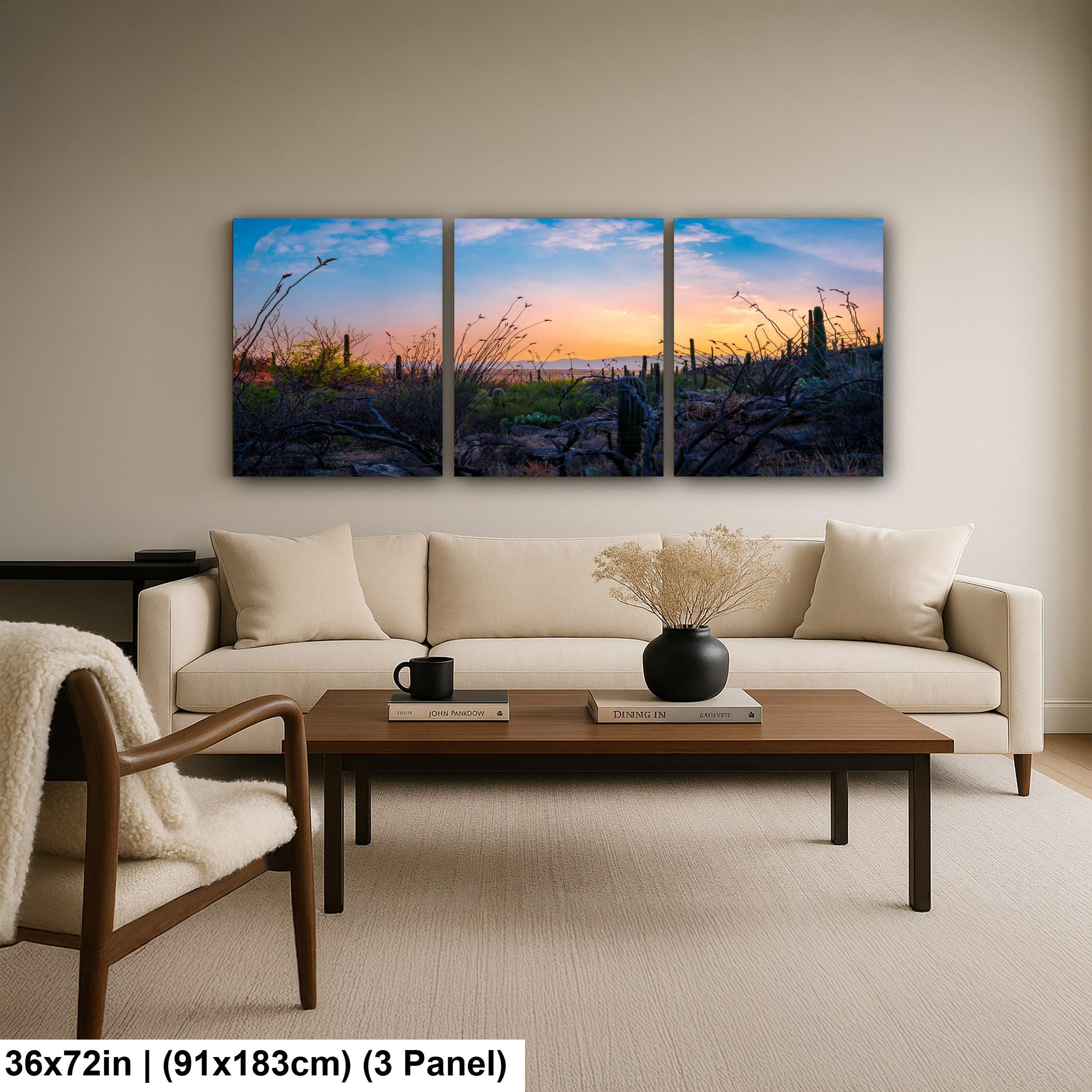 Sonoran Desert Sunset with Saguaros and Ocotillo - Saguaro National Park East Tucson Photography Print