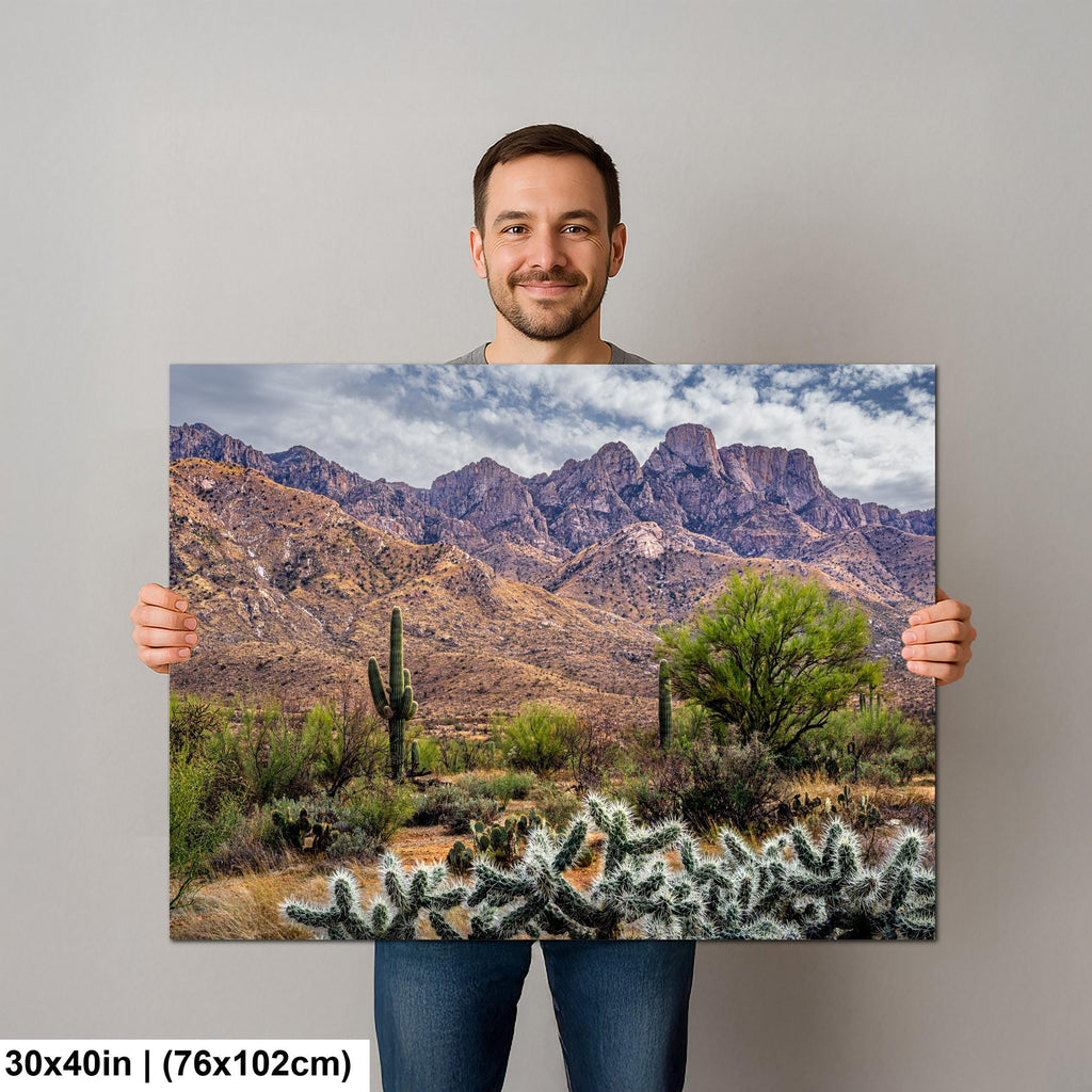 Rugged Desert Beauty Arizona Catalina Mountains Sonoran Landscape Photography Wall Art