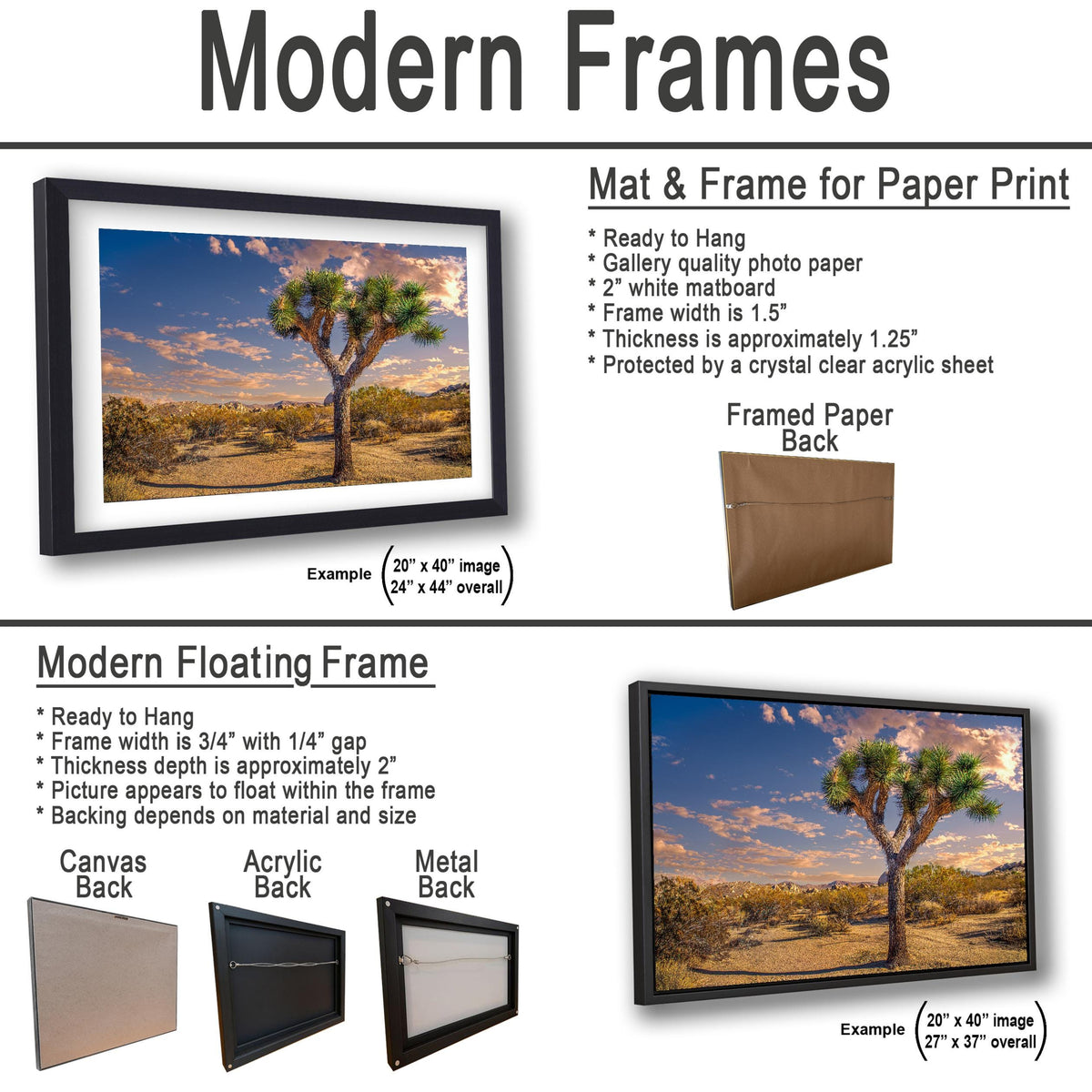 Desert Icon: Joshua Tree National Park California Landscape Photo Wall Art