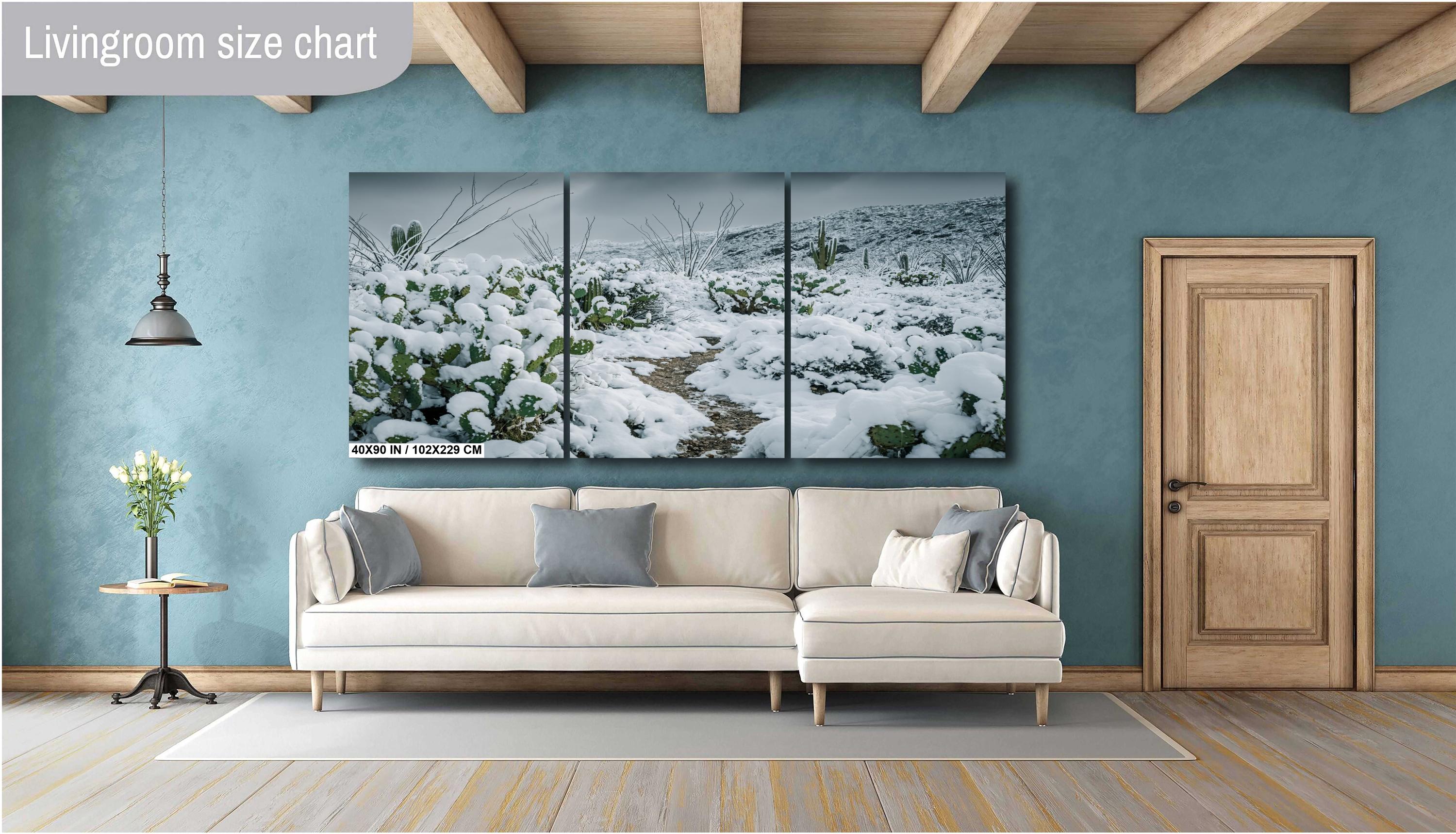 Hiking Trail Through The Snowy Cactus: Saguaro National Park Tucson Arizona Print Wall Art Photography Aluminum/Acrylic/Metal/Canvas