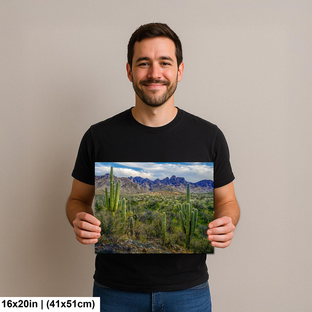 Sonoran Desert Landscape with Saguaros and Mountain Ridge - Tucson Arizona Photography Print