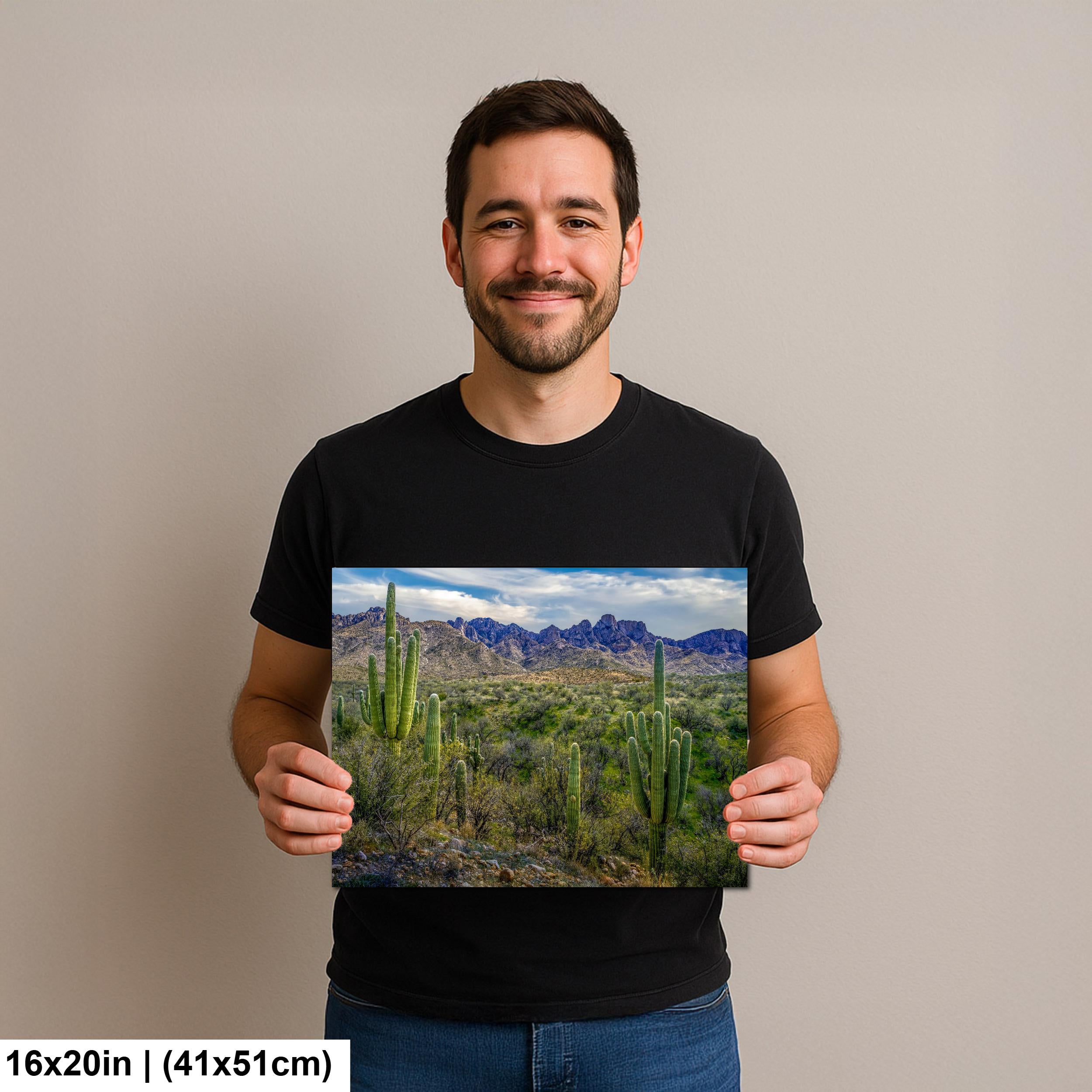 Sonoran Desert Landscape with Saguaros and Mountain Ridge - Tucson Arizona Photography Print