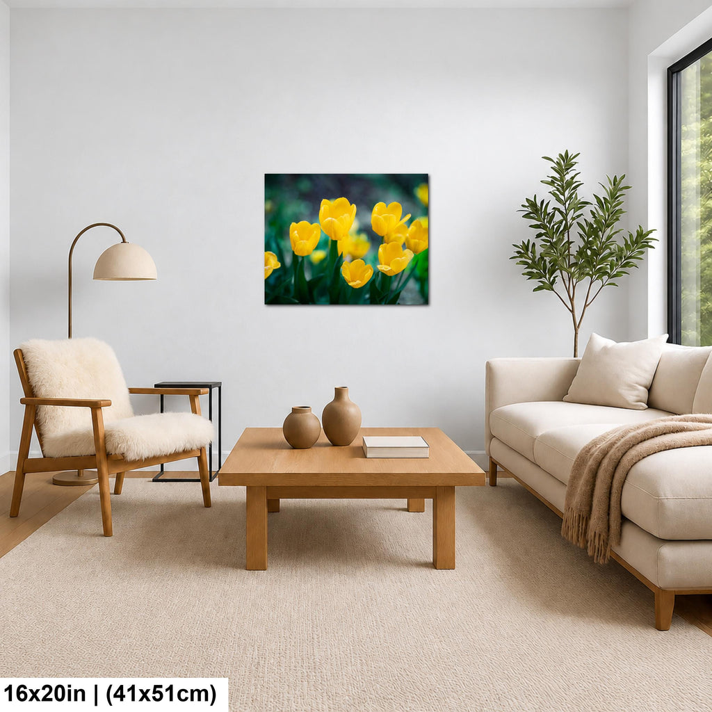 Sunlit Blooms: Yellow Tulip Flower Photography Botanical Floral Wall Art