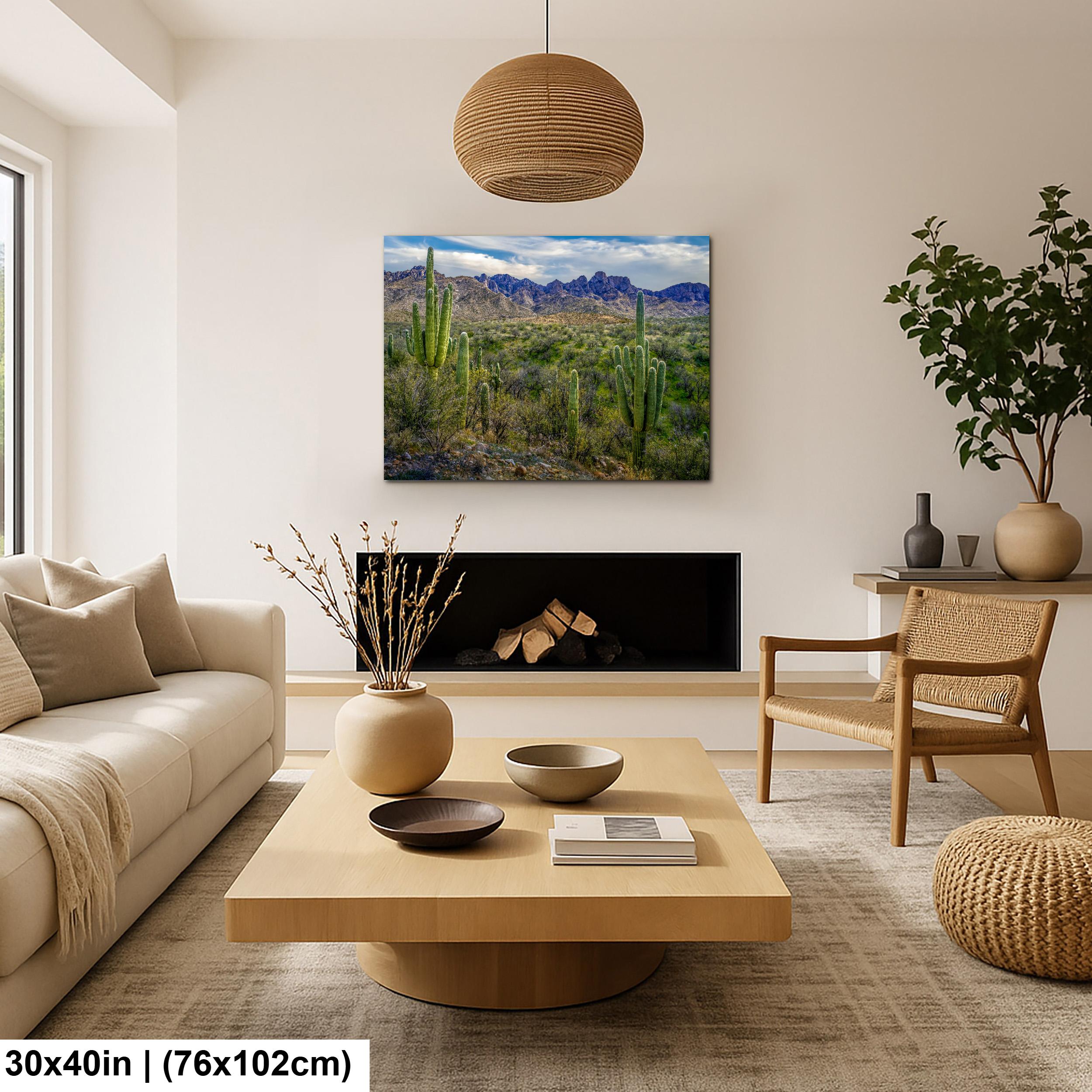 Sonoran Desert Landscape with Saguaros and Mountain Ridge - Tucson Arizona Photography Print