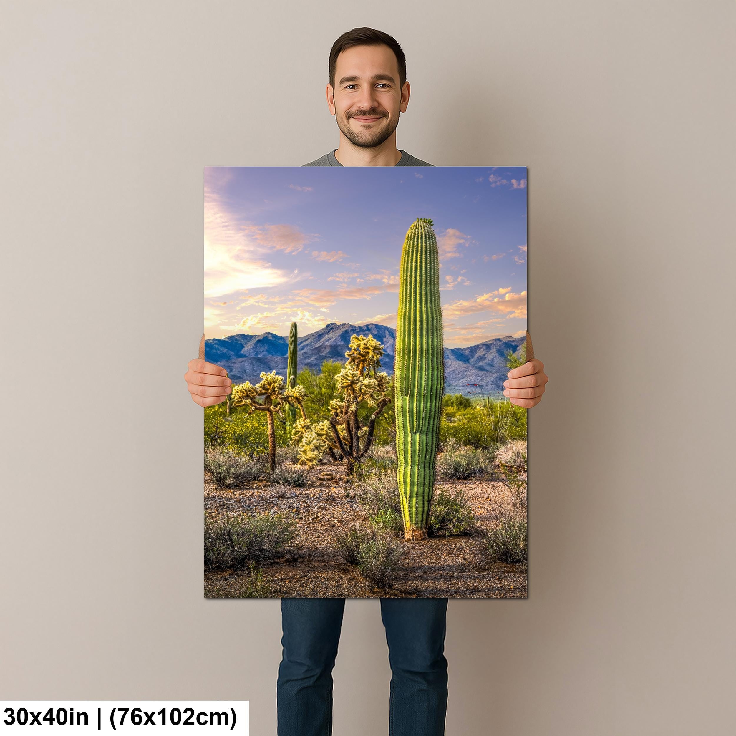 Golden Hour Saguaros and Cholla in Bloom Desert Photography Print, Tucson Arizona Southwest Wall Art Decor