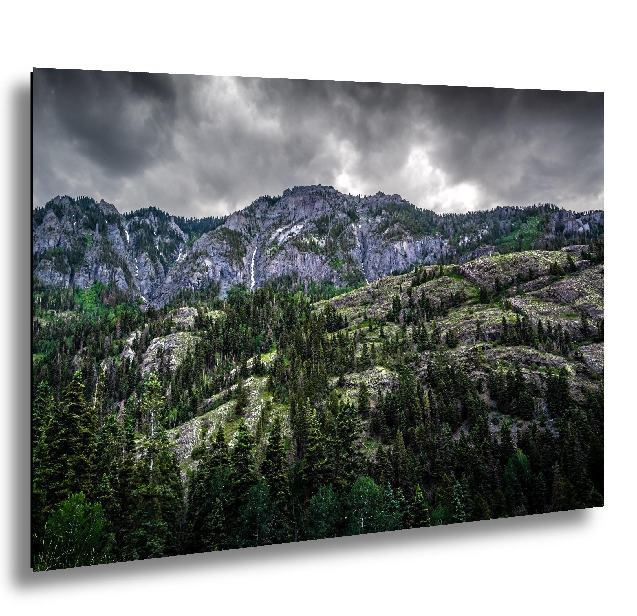 Ouray Colorado Forest Print: San Juan Mountains Landscape Photography