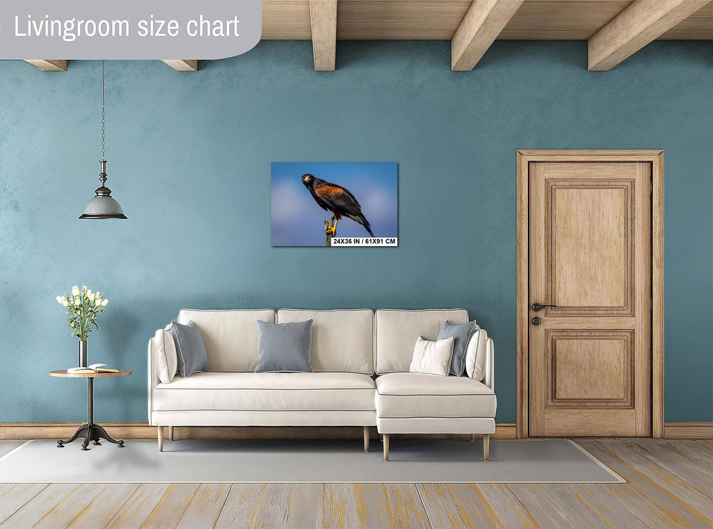 Living room with Harris’s hawk wall art print, a beige sofa, decorative pillows, a small table with a plant, and a door.