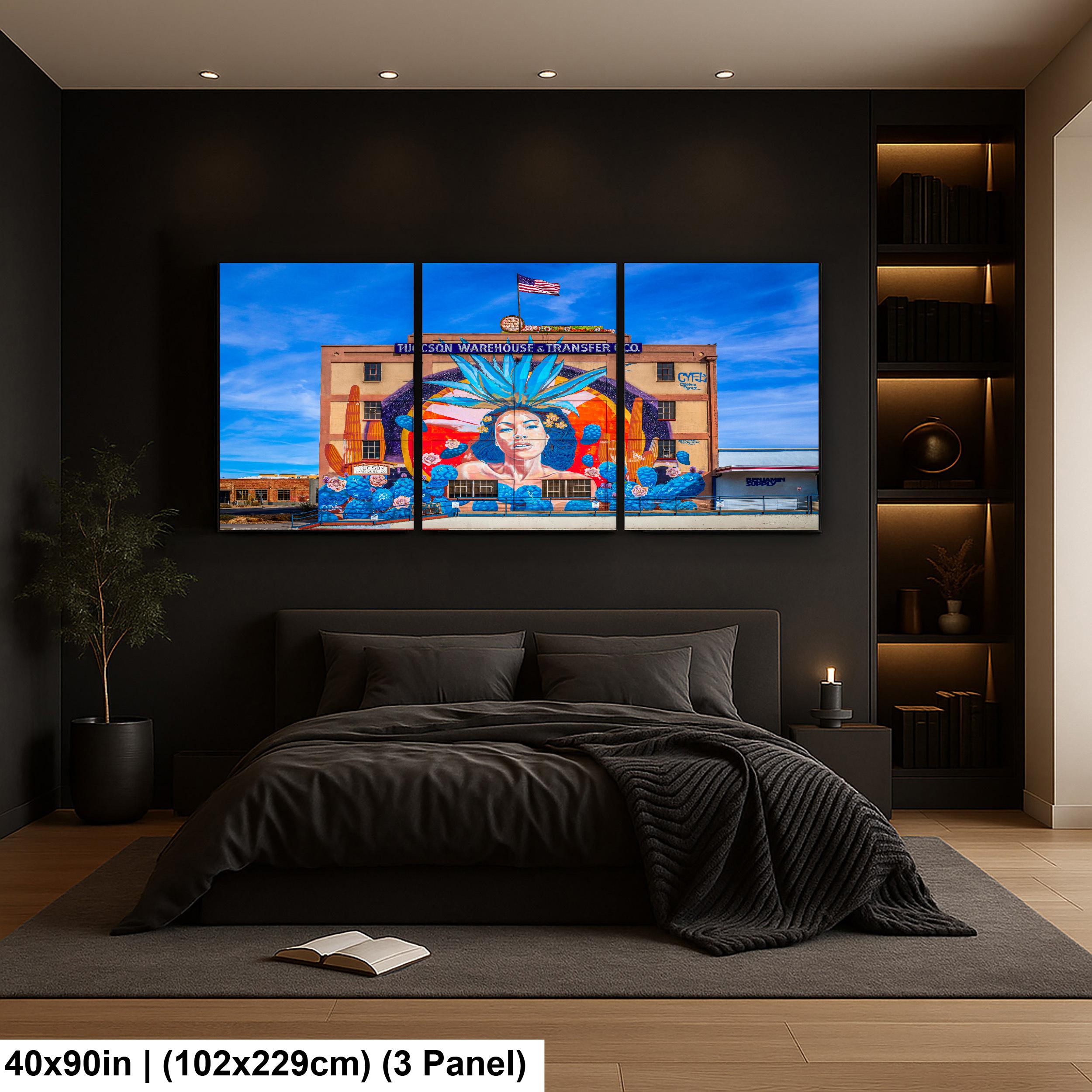 Tucson Mural Warehouse and Transfer Co Arizona Urban Photography Wall Art Decor